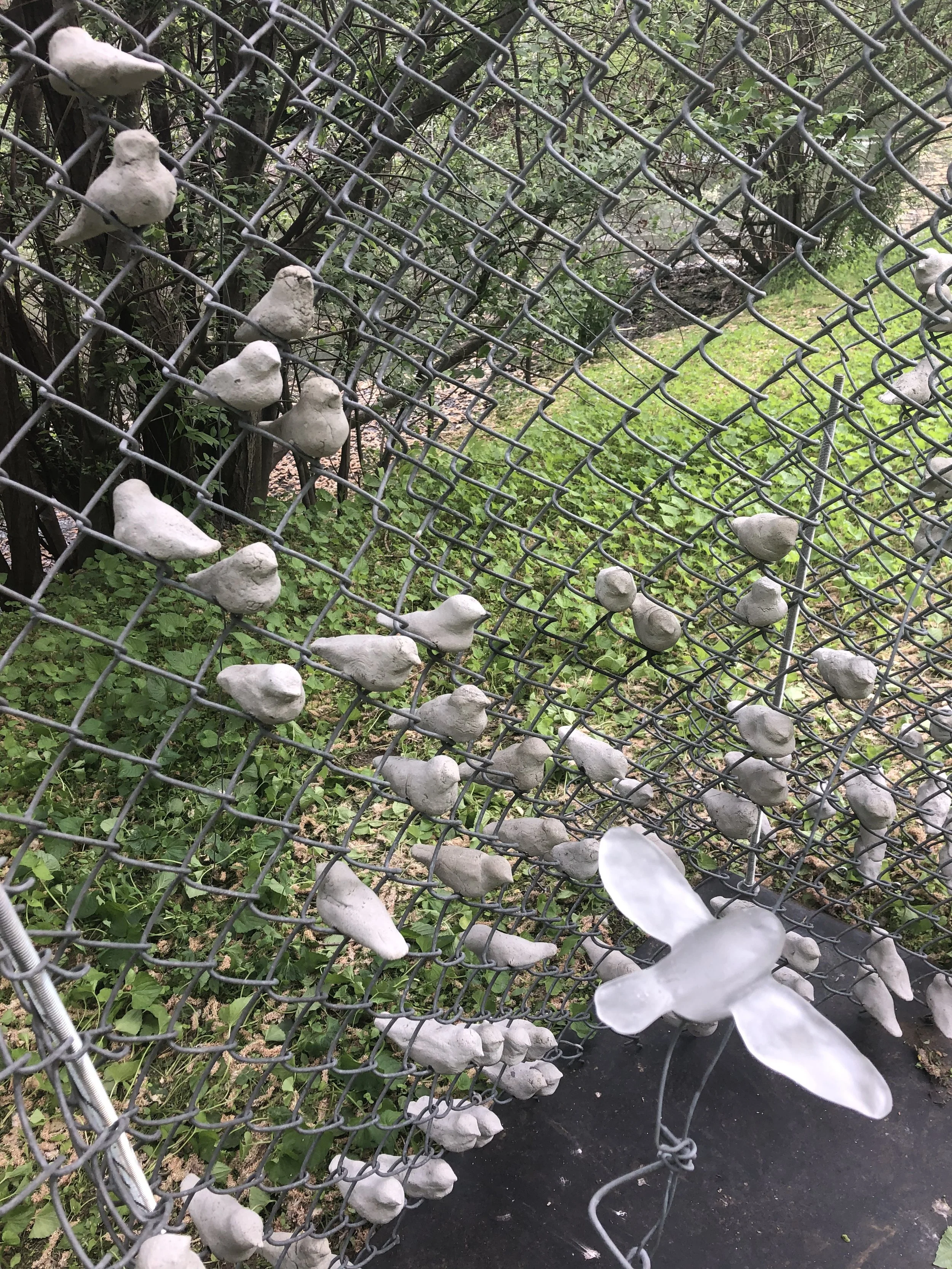 Liz Helfer: Lightweight