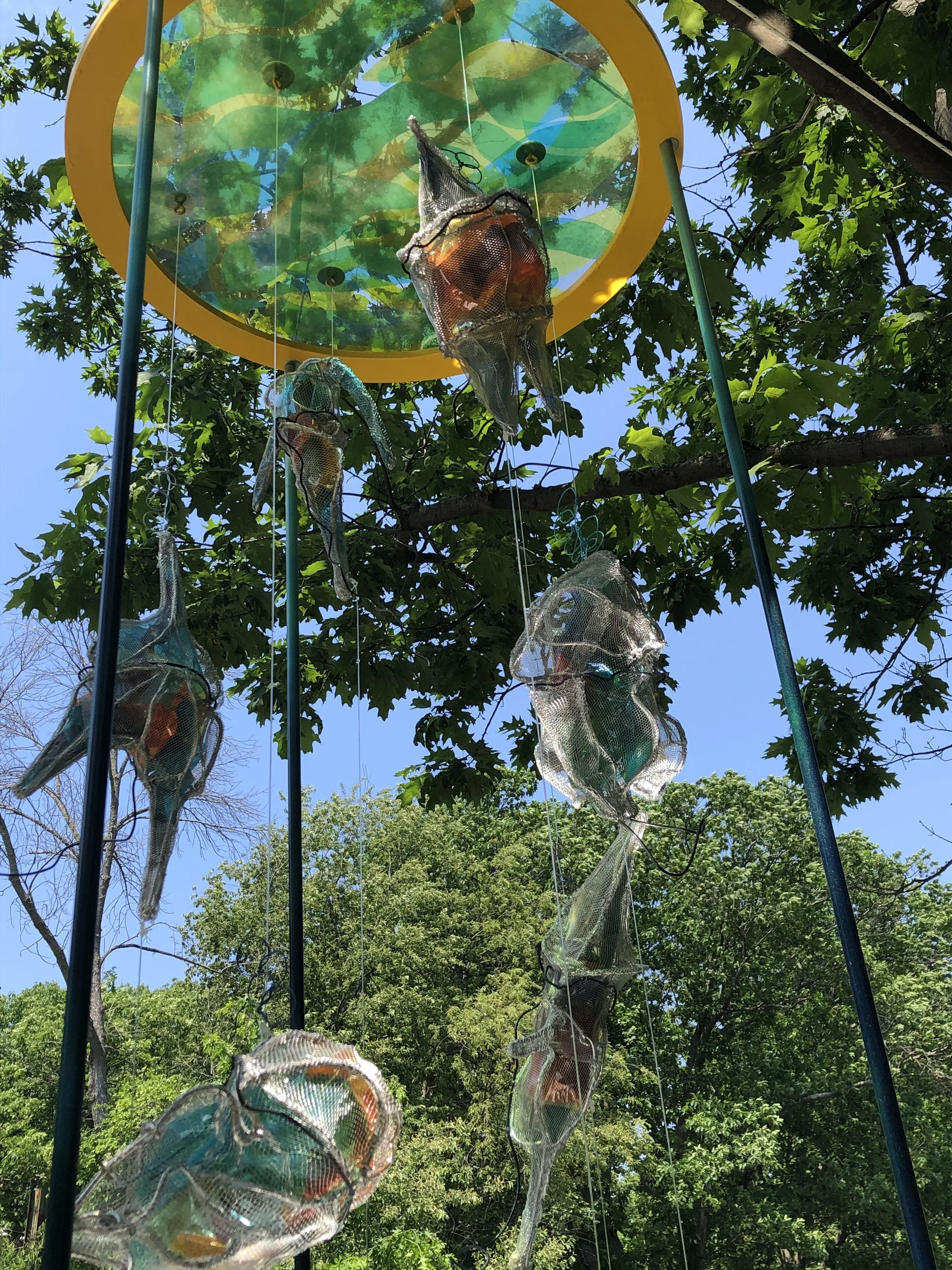 Marnie Sinclair: Dinoflagellates