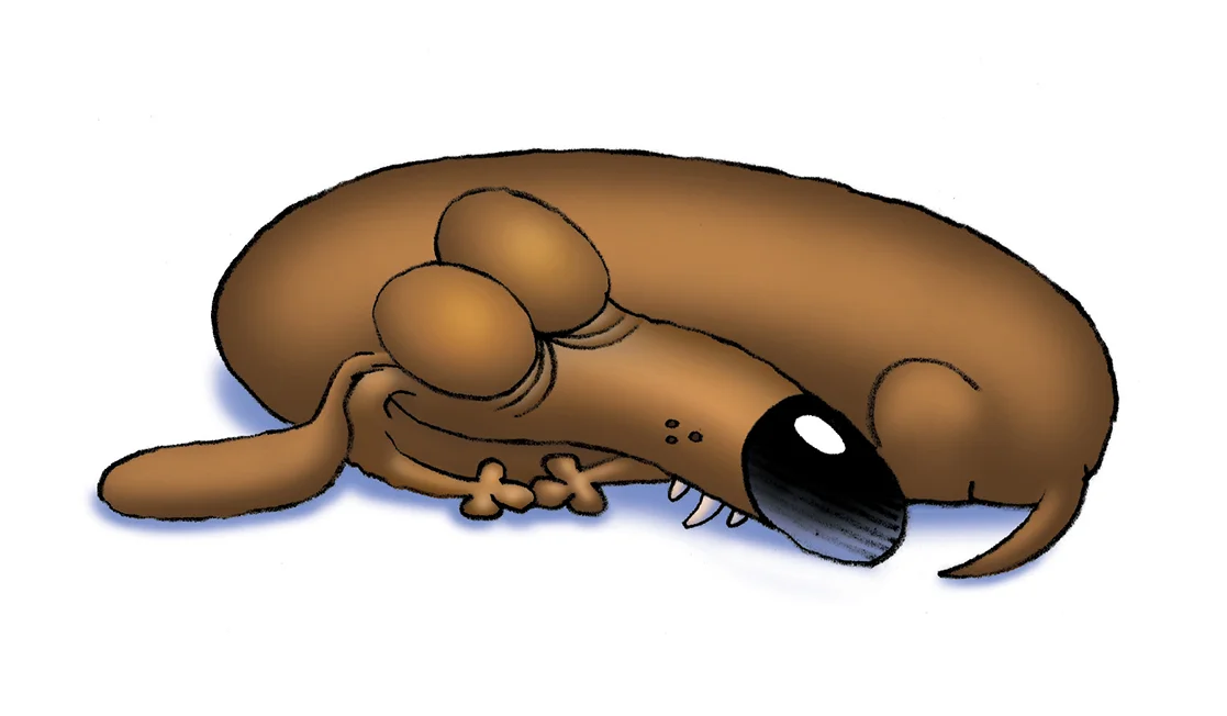 Let sleeping dogs lie.jpg