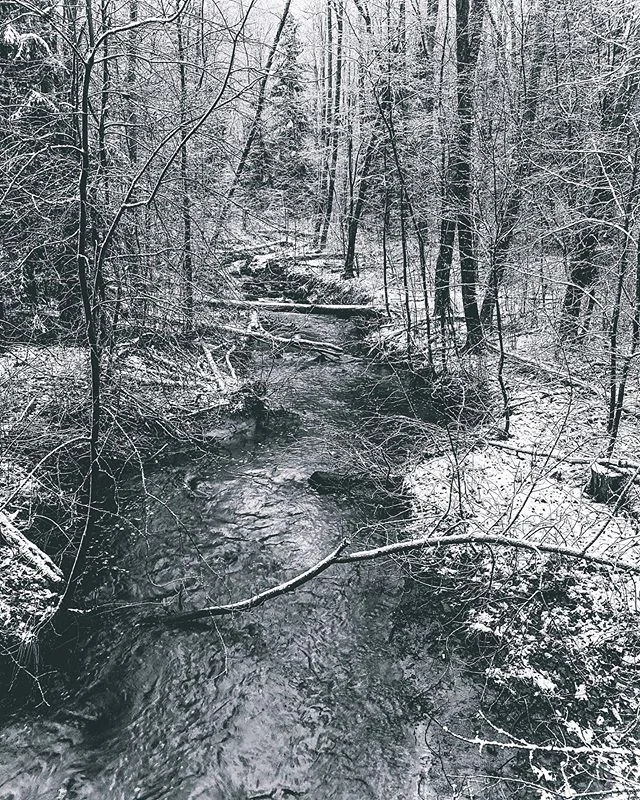 Winter is just awesome, right? 
#winter #forest  #stream #snow &bull;
&bull;
&bull;
&bull; &mdash;&mdash;&mdash;&mdash;&mdash;&mdash;&mdash;&mdash;&mdash;&mdash;&mdash;&mdash;&mdash;&mdash;&mdash;&mdash;&mdash;&mdash;&mdash;&mdash;&mdash;&mdash;&mdas