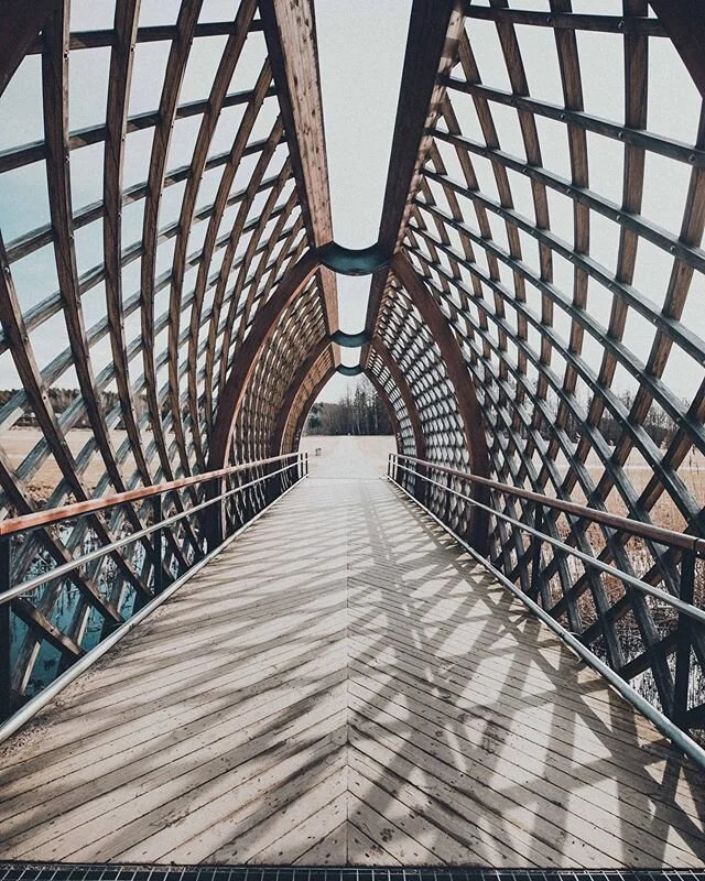 Pathway... #freedom #path #wood #bridge &bull;
&bull;
&bull;
&bull; &mdash;&mdash;&mdash;&mdash;&mdash;&mdash;&mdash;&mdash;&mdash;&mdash;&mdash;&mdash;&mdash;&mdash;&mdash;&mdash;&mdash;&mdash;&mdash;&mdash;&mdash;&mdash;&mdash;&mdash;&mdash;&mdash;
