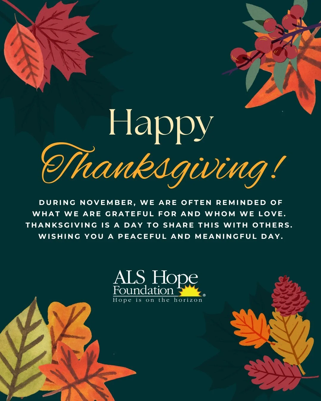 This Thanksgiving, we&rsquo;re grateful for our wonderful community that supports our mission. Thank you for helping us keep Hope on the Horizon! 🧡 🍁