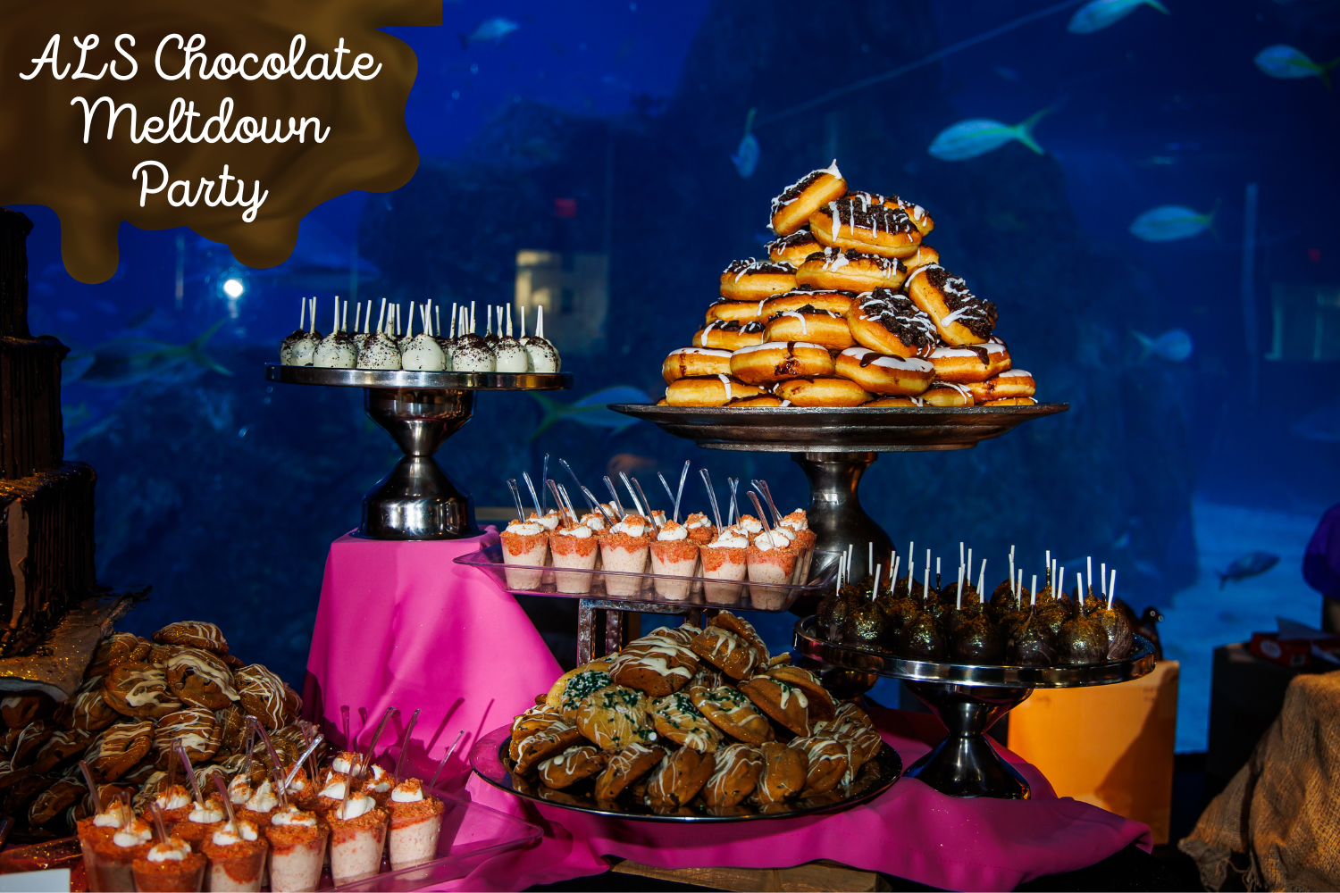 ALS Chocolate Meltdown Party