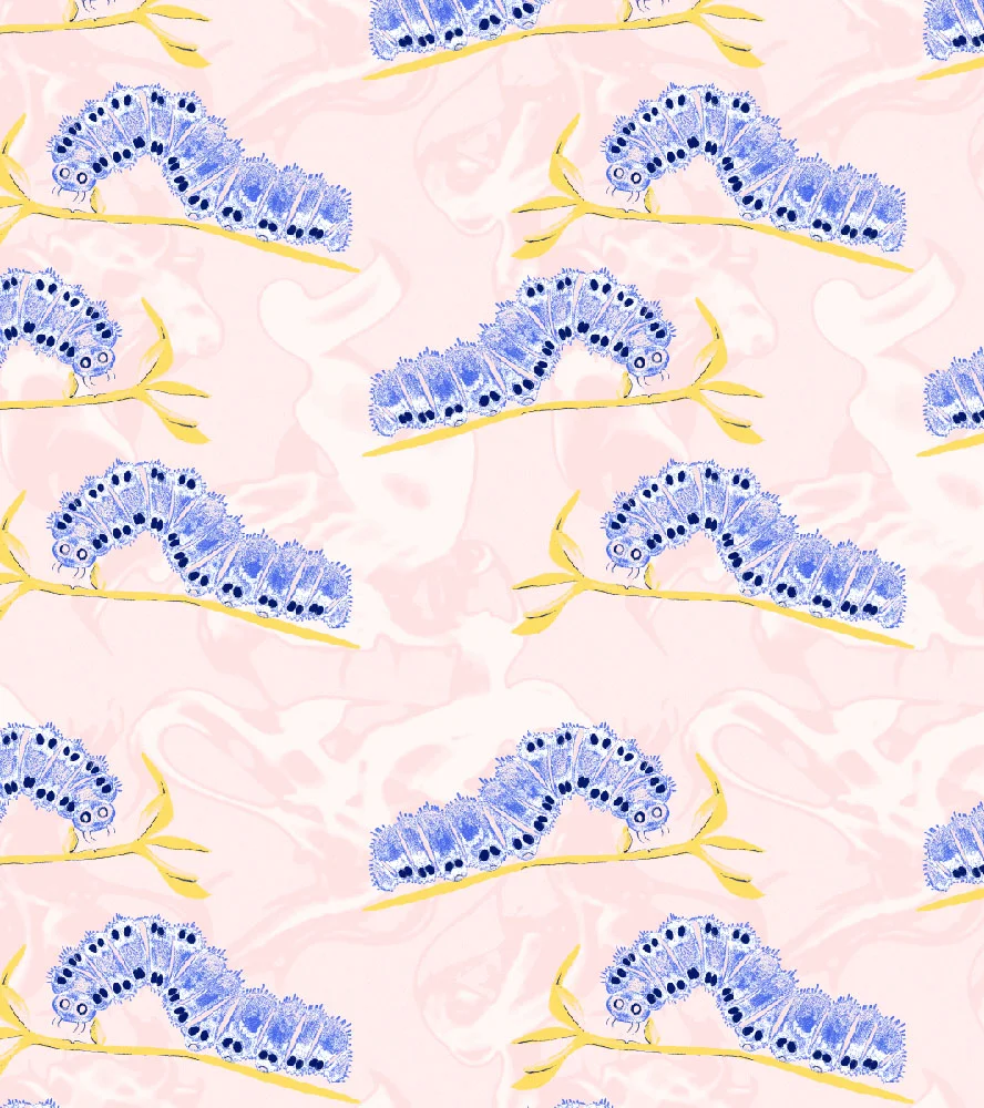 Absolem-catterpillar 2.jpg
