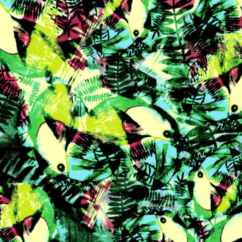 toucan tossed.jpg