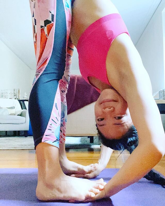 Padahastasana. Fold, unite, be. &quot;What you are looking for is already in you&hellip;You already are everything you are seeking.&quot; - #thichnhathanh 💛 #yoga #om #ashtangayoga #ashtanga