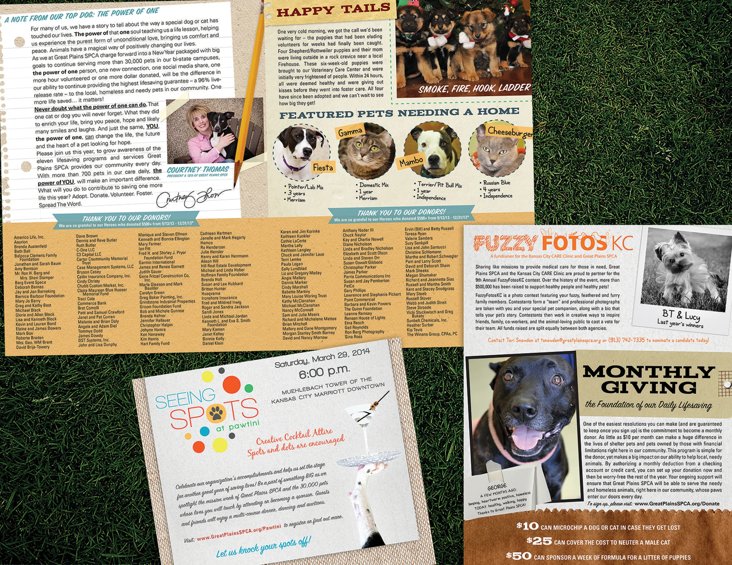 SPCA2.jpg
