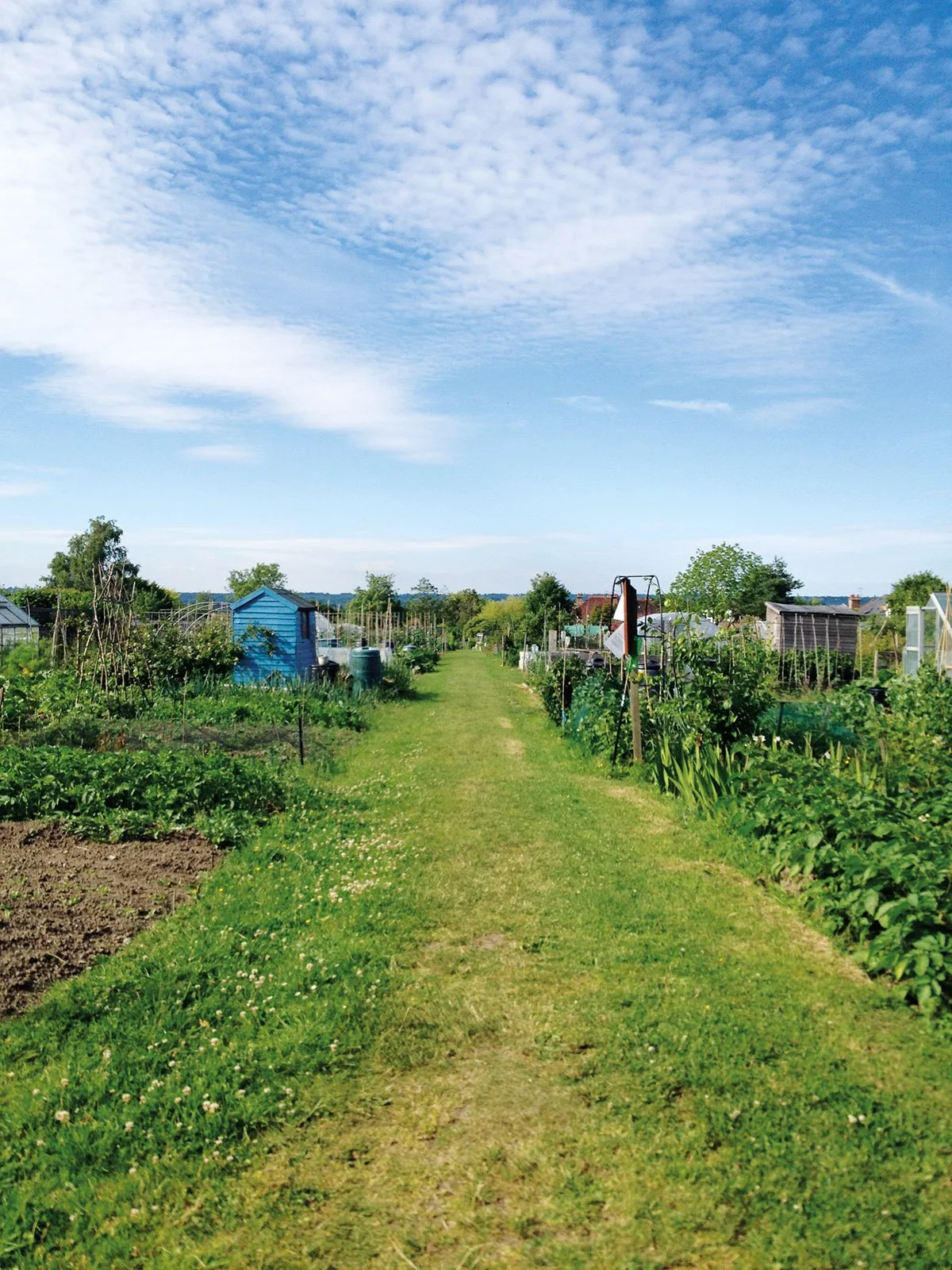 allotment by Emily Volkert Hurst Life.jpg