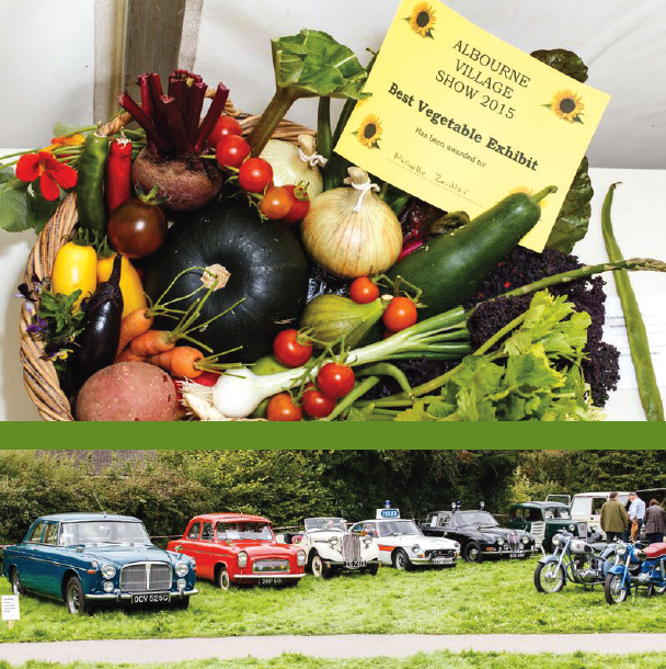 Albourne Village Show 2017 - 9th September 2017