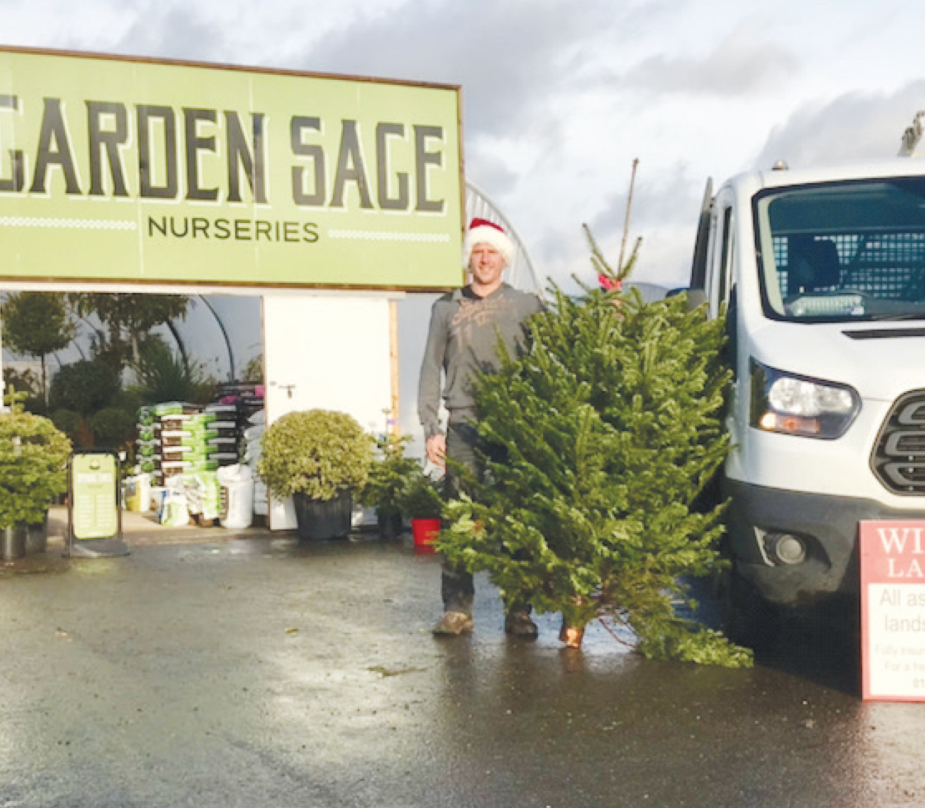 Paul Wilkinson, Christmas Tree Collection in Hurst