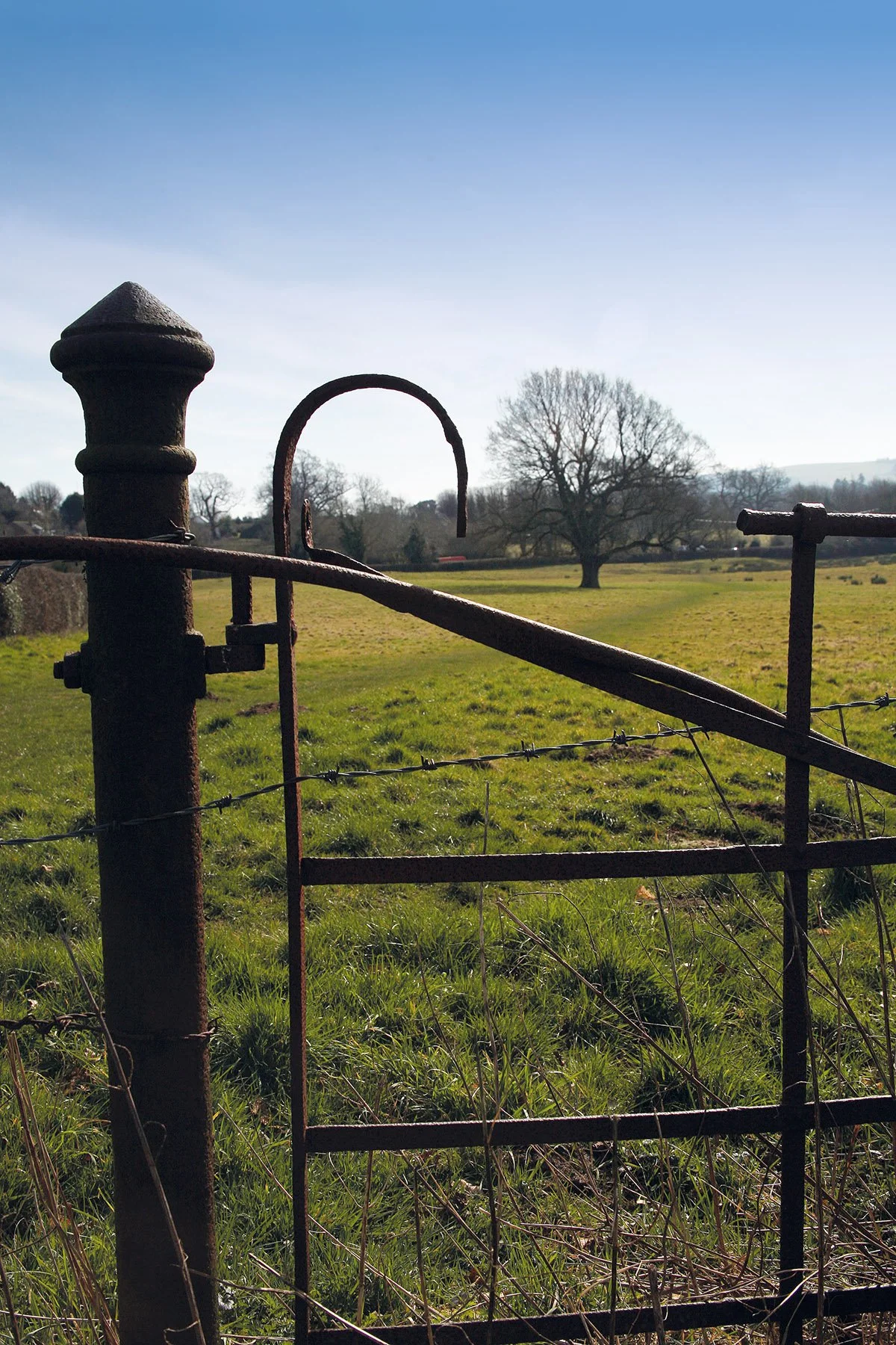 hurst life cover by david gingell.jpg