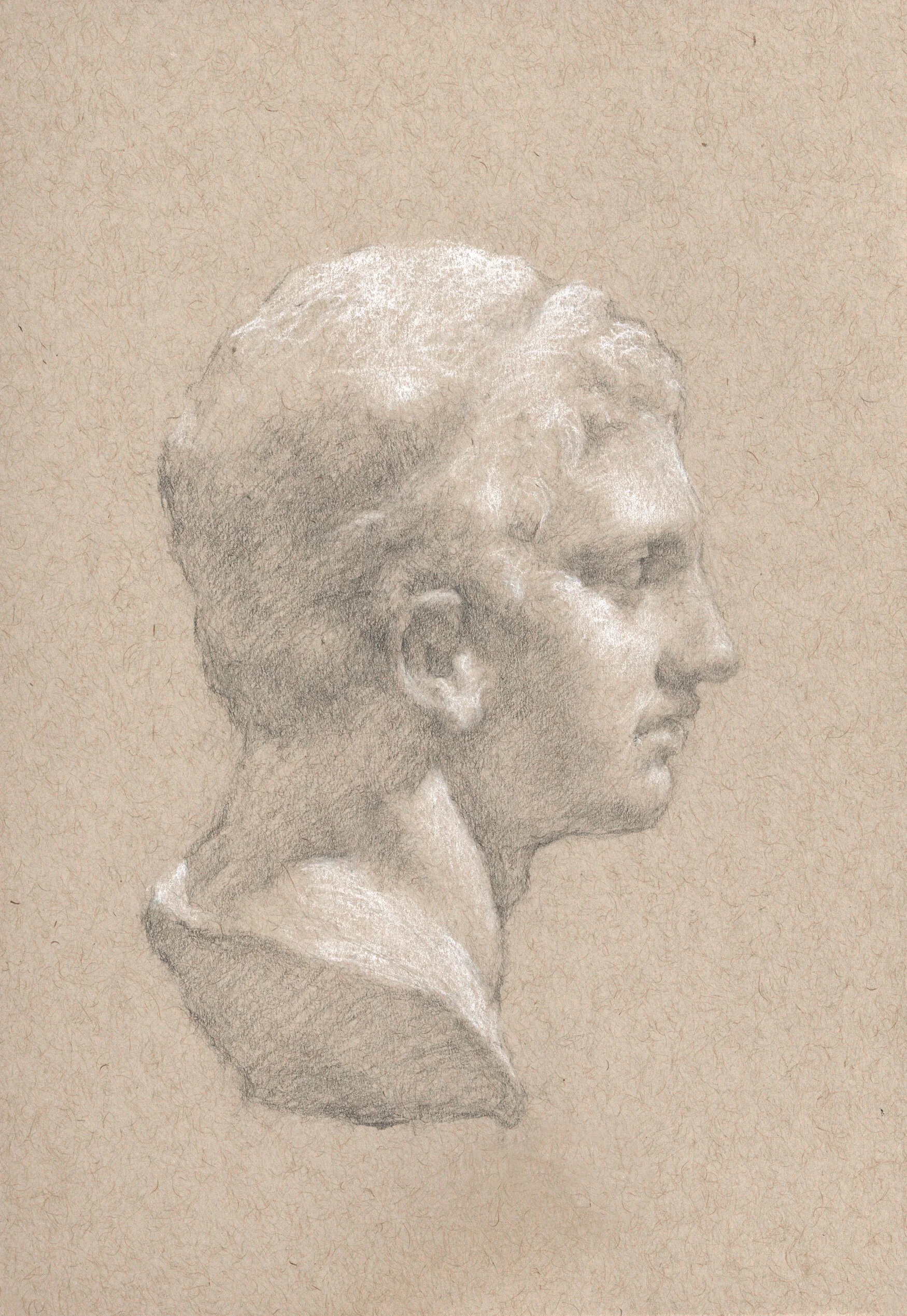 Head of Greek or Roman Youth Pencil EDIT Cropped.jpg