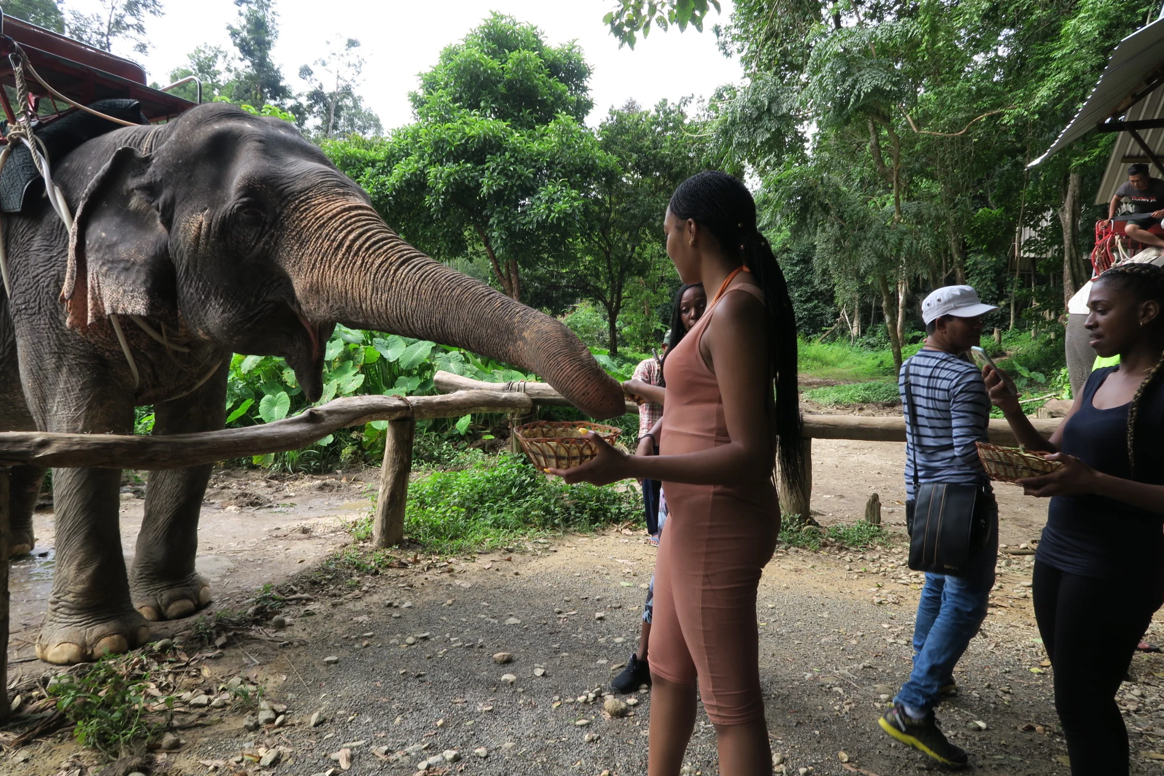 28316544_Unknown 2.JPG