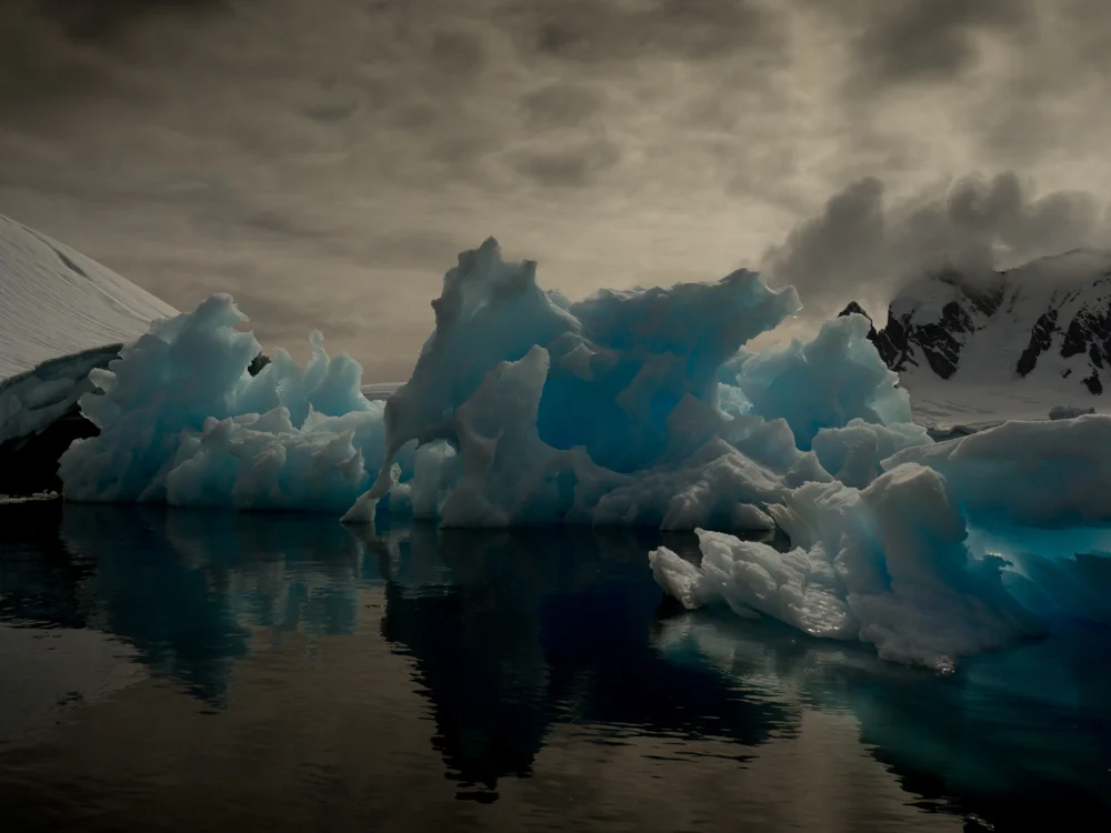 MichaelaSkovranova-antarctica-1.jpg