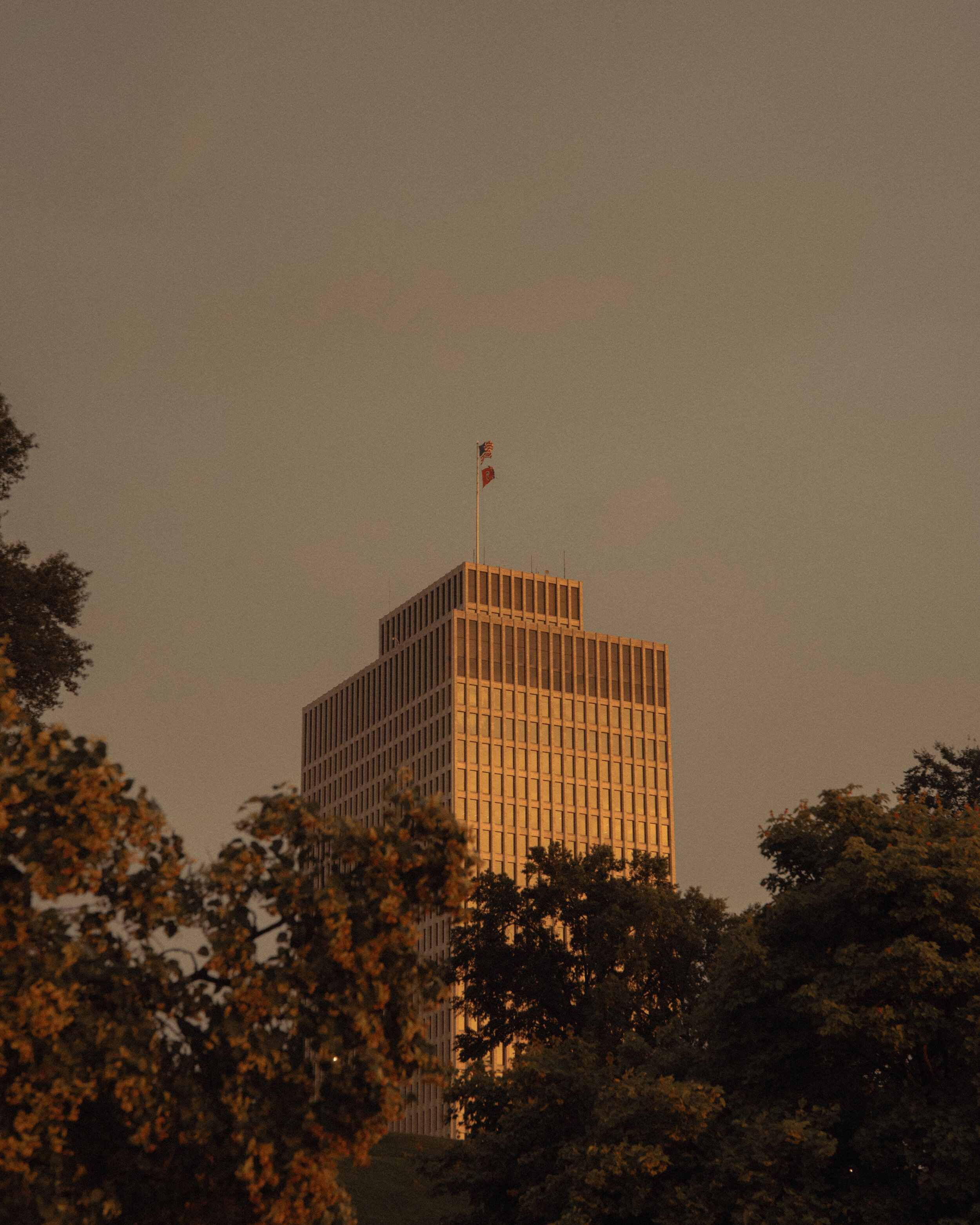 DSC_6618.JPG