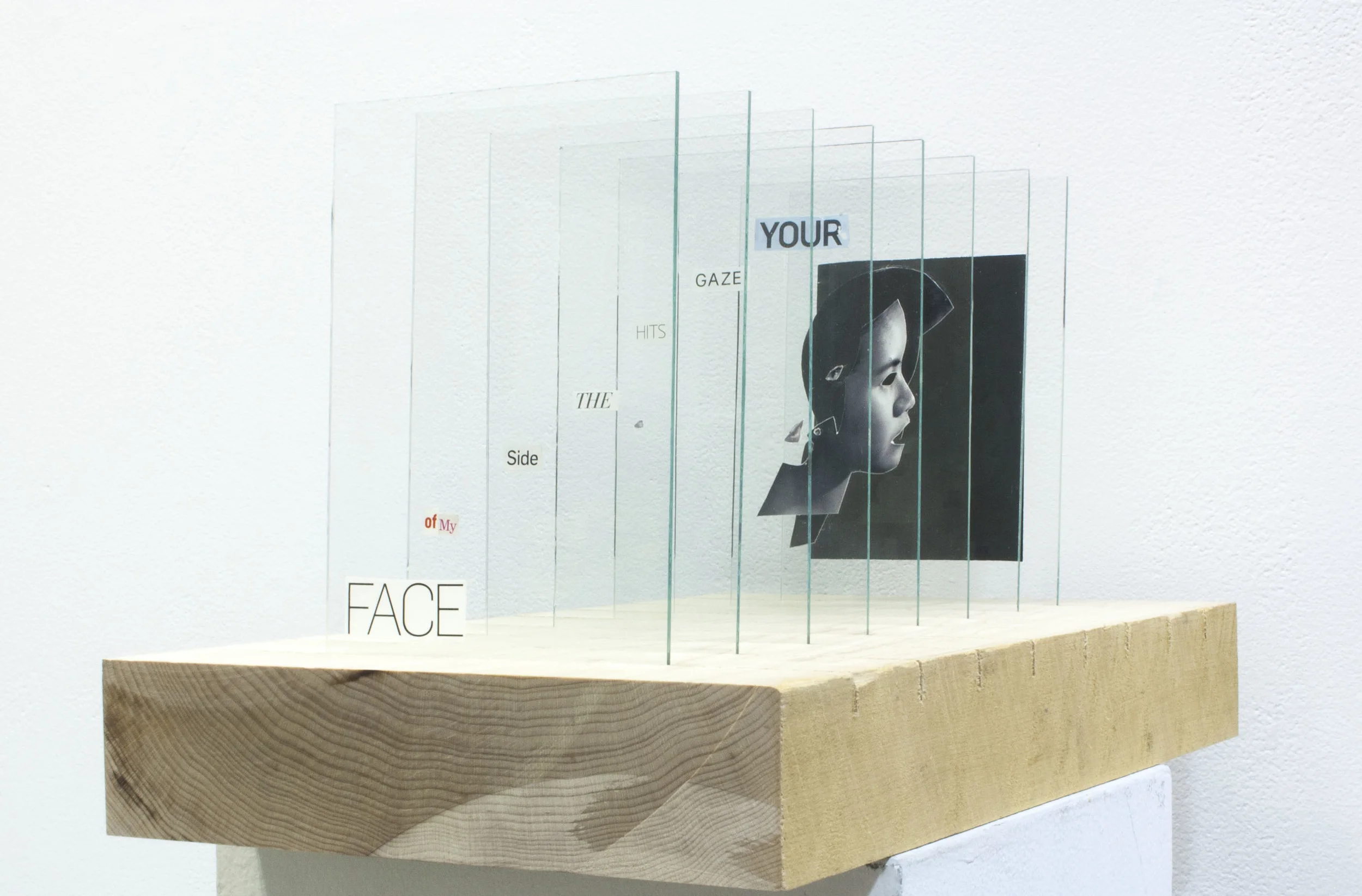 After Kruger, glass, found images, digital print, wood, 2014.