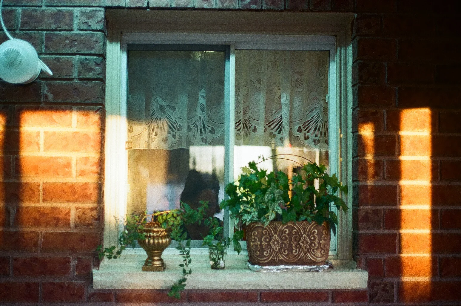 Mother, Peterborough, 2016.
