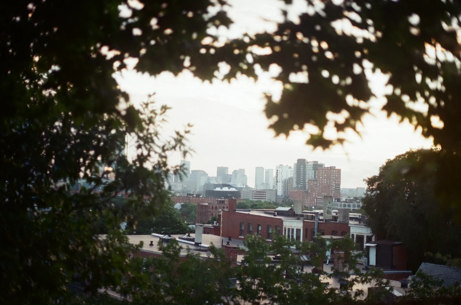 Sunrise in Boston, 2018.