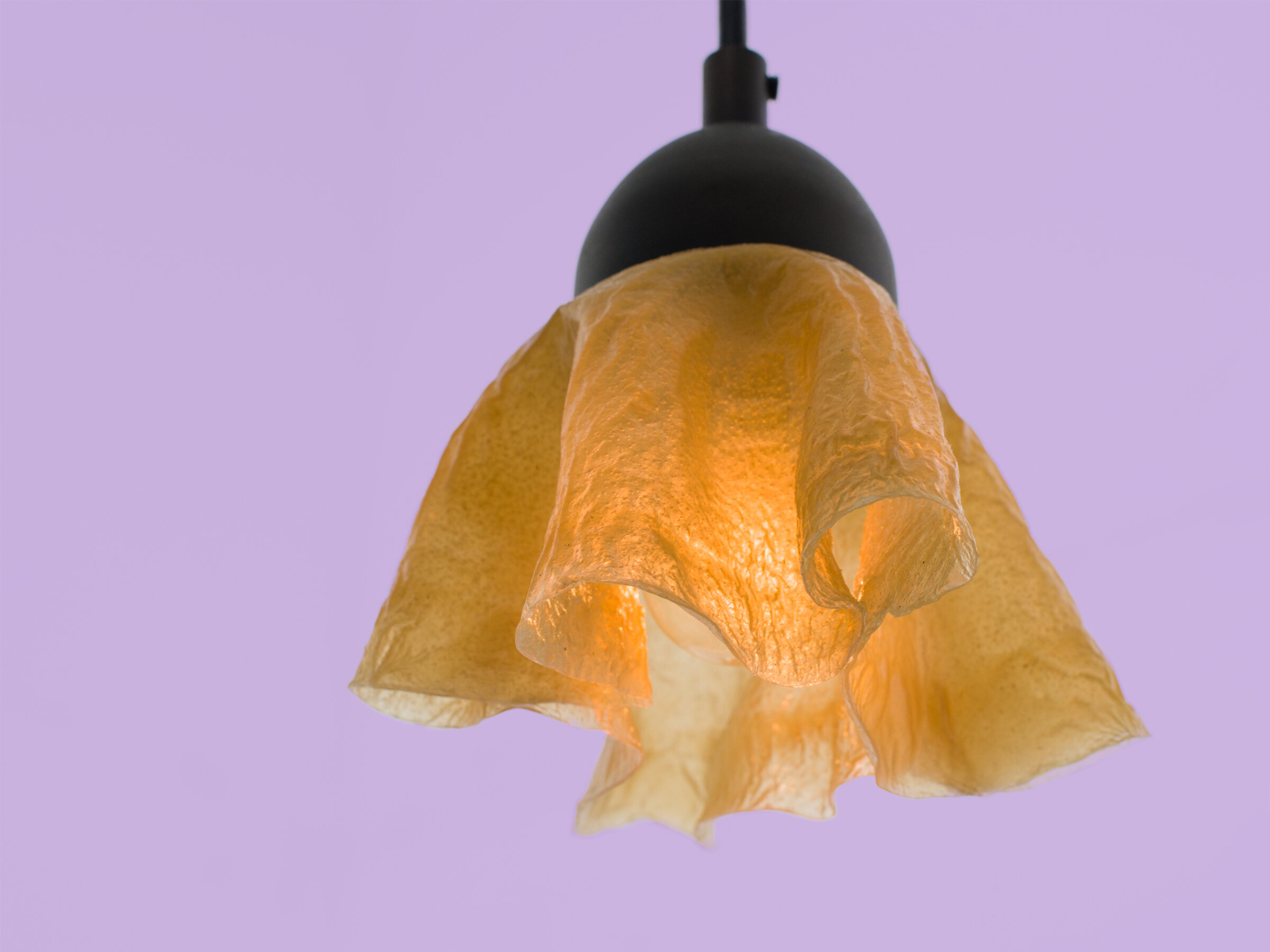 light1.jpg