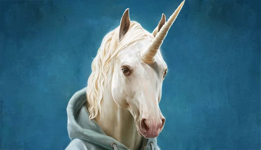 The Age of Unicorns