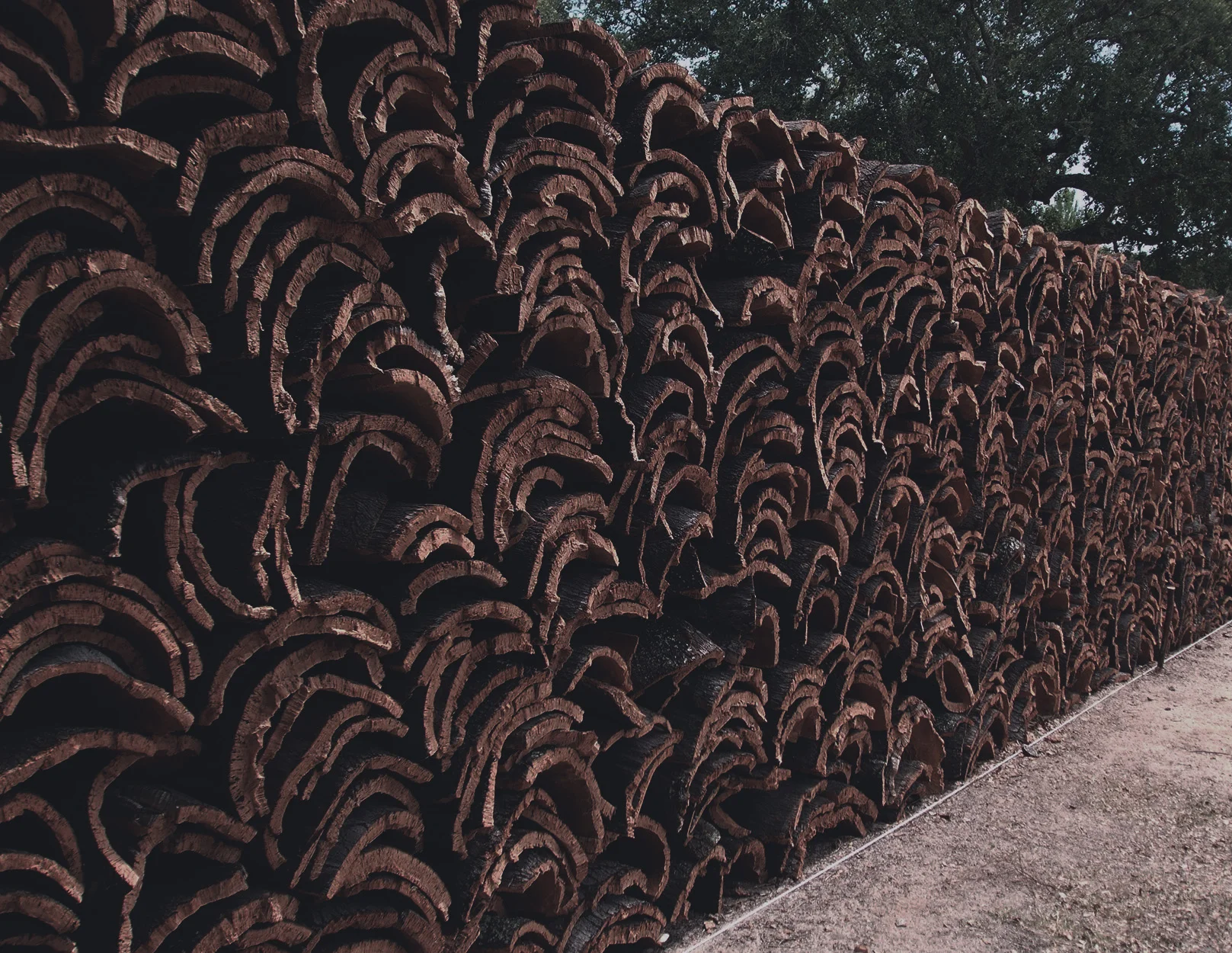 cork.jpg