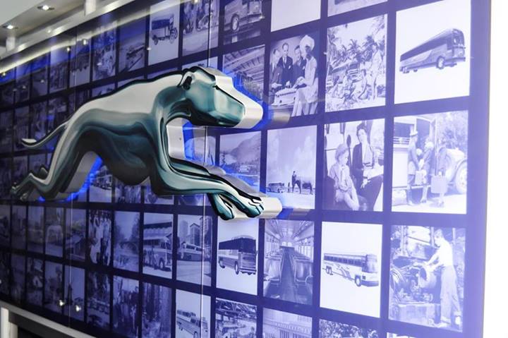 Greyhound