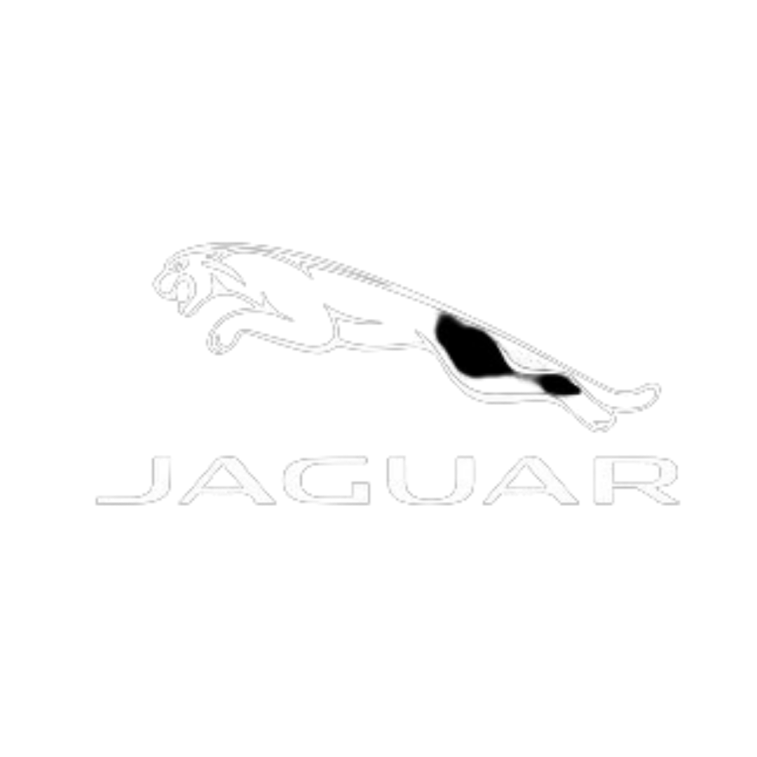 jaguar 2.png