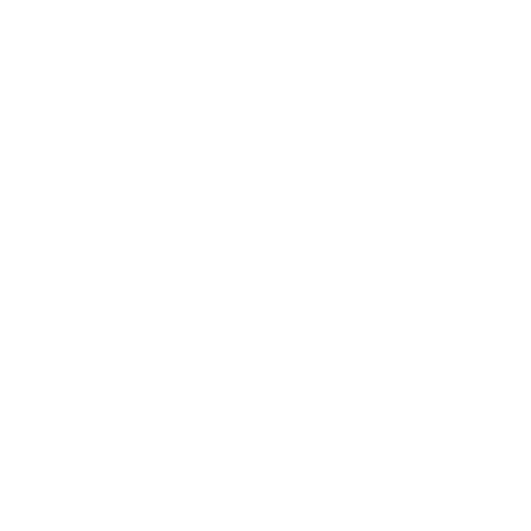 southwest airlines 2.png