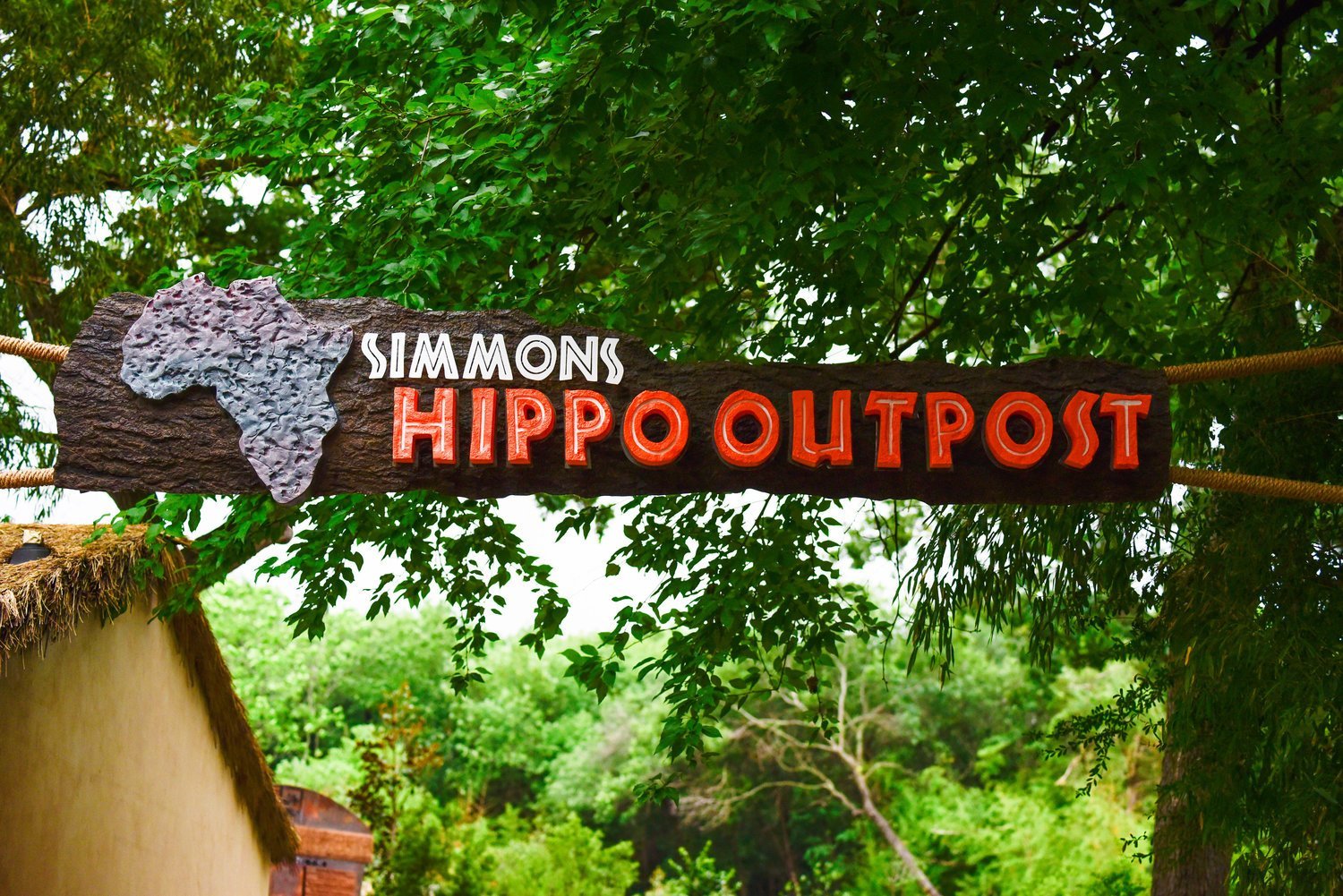 Simmons Hippo Outpost