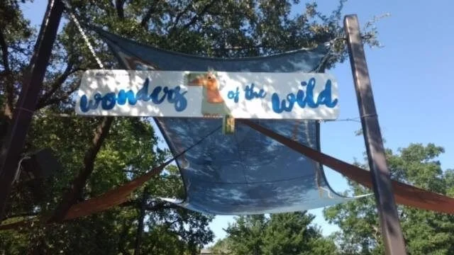 Wonders of the Wild