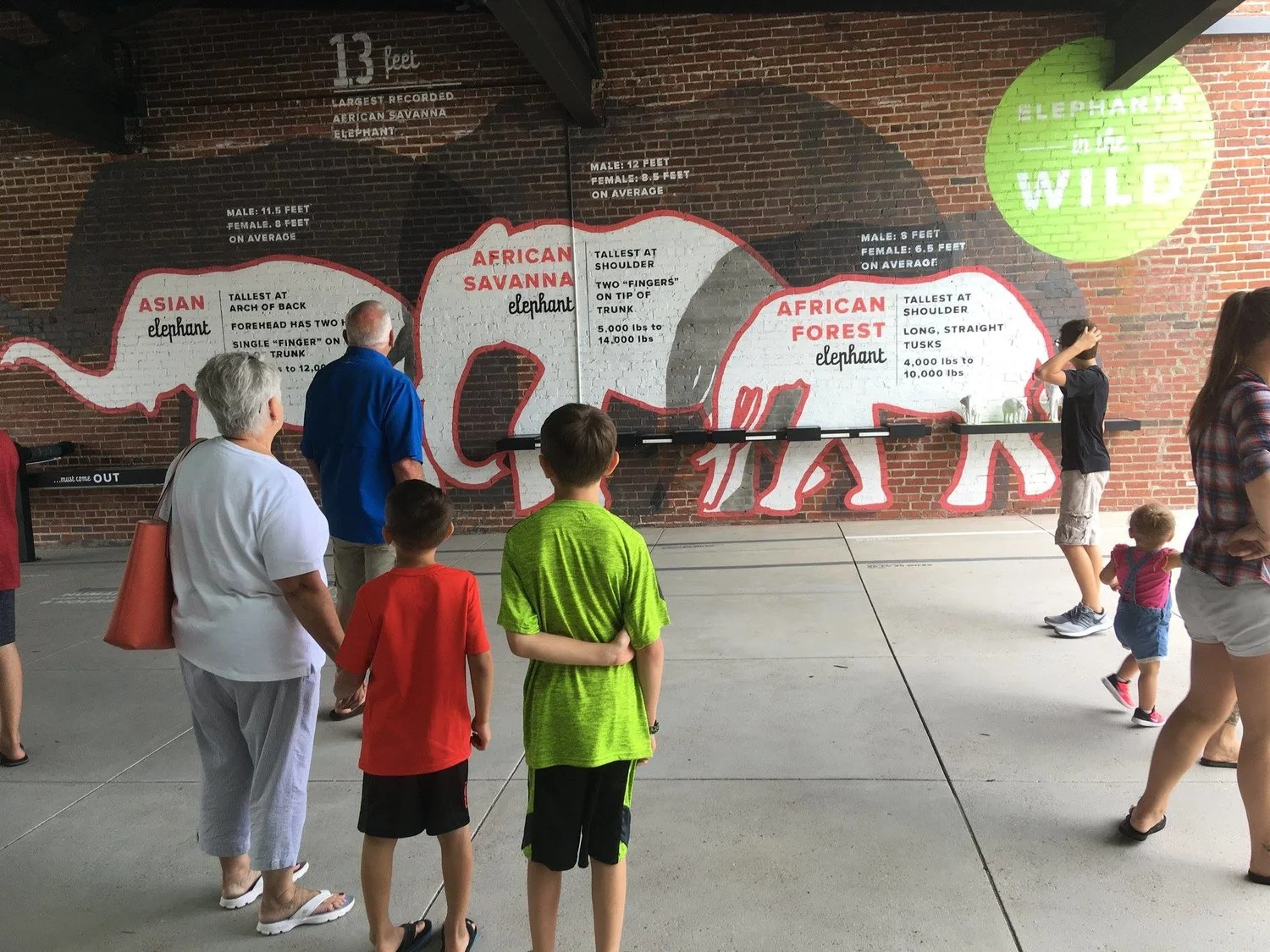 Elephant Discovery Center