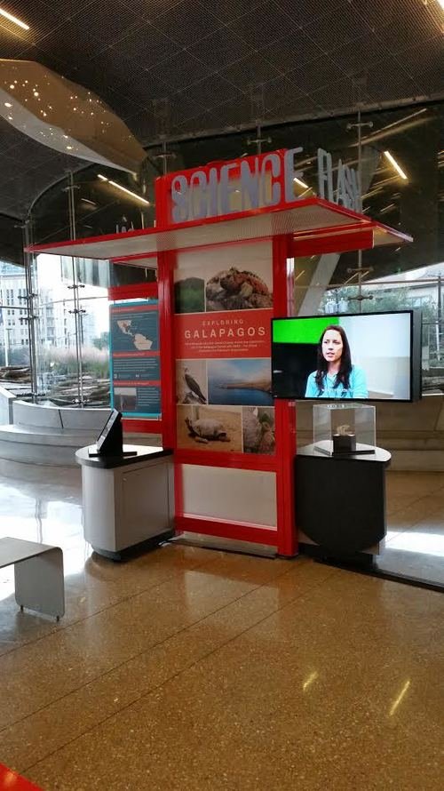 Perot Museum Dallas 2.jpeg