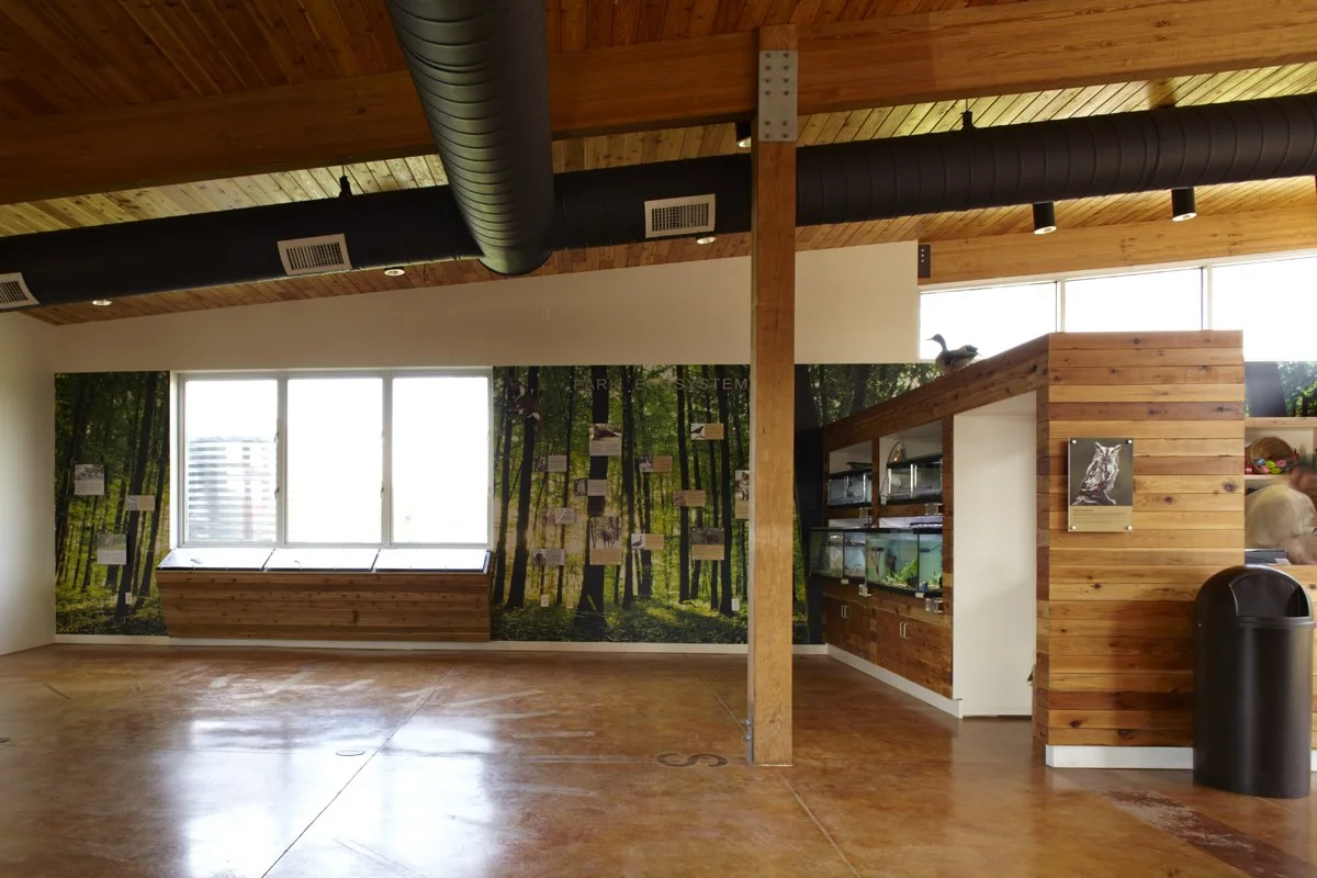 Environments (Images) — Mecca Design & Production 1.jpeg