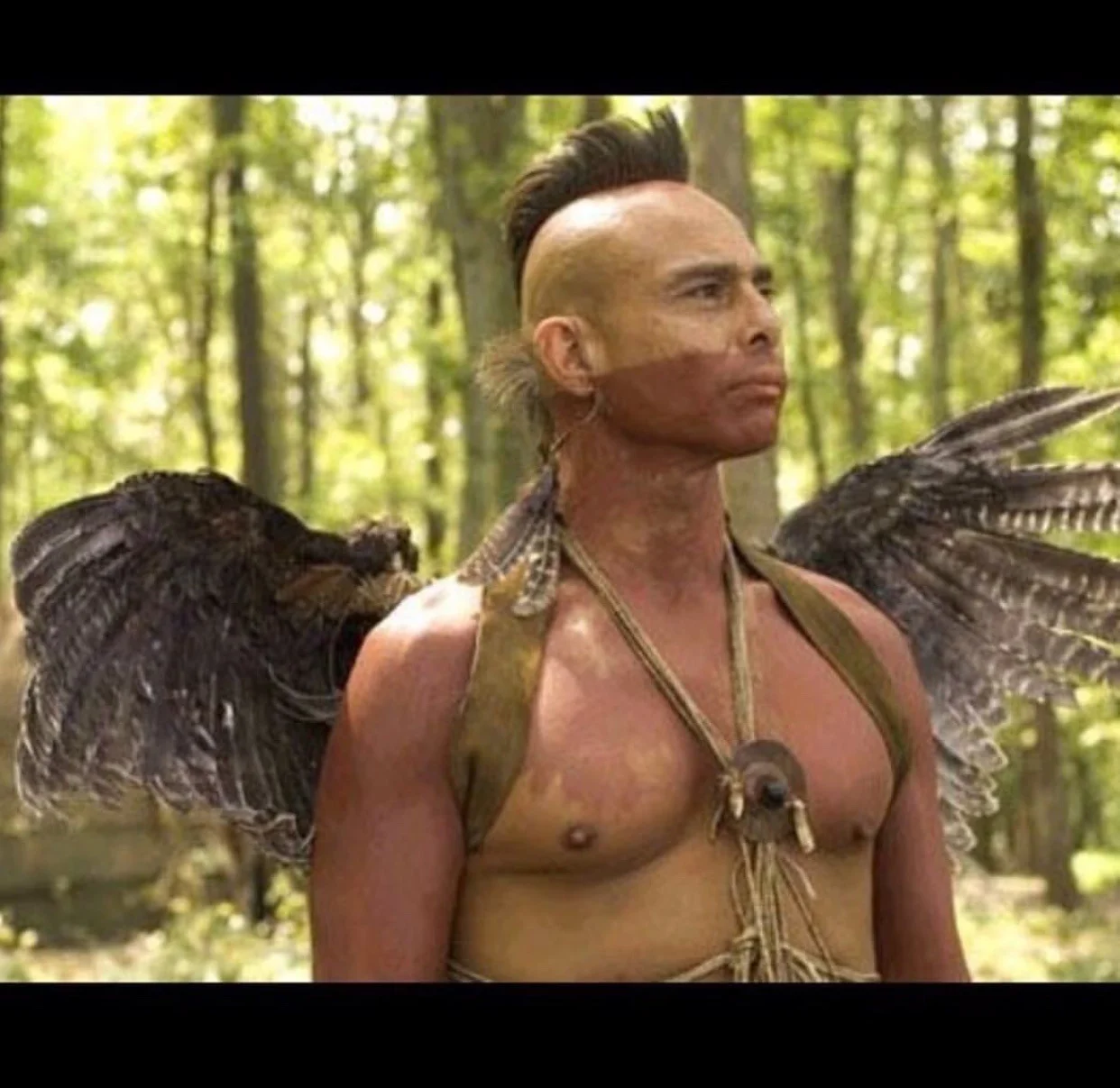 angelwings.jpg