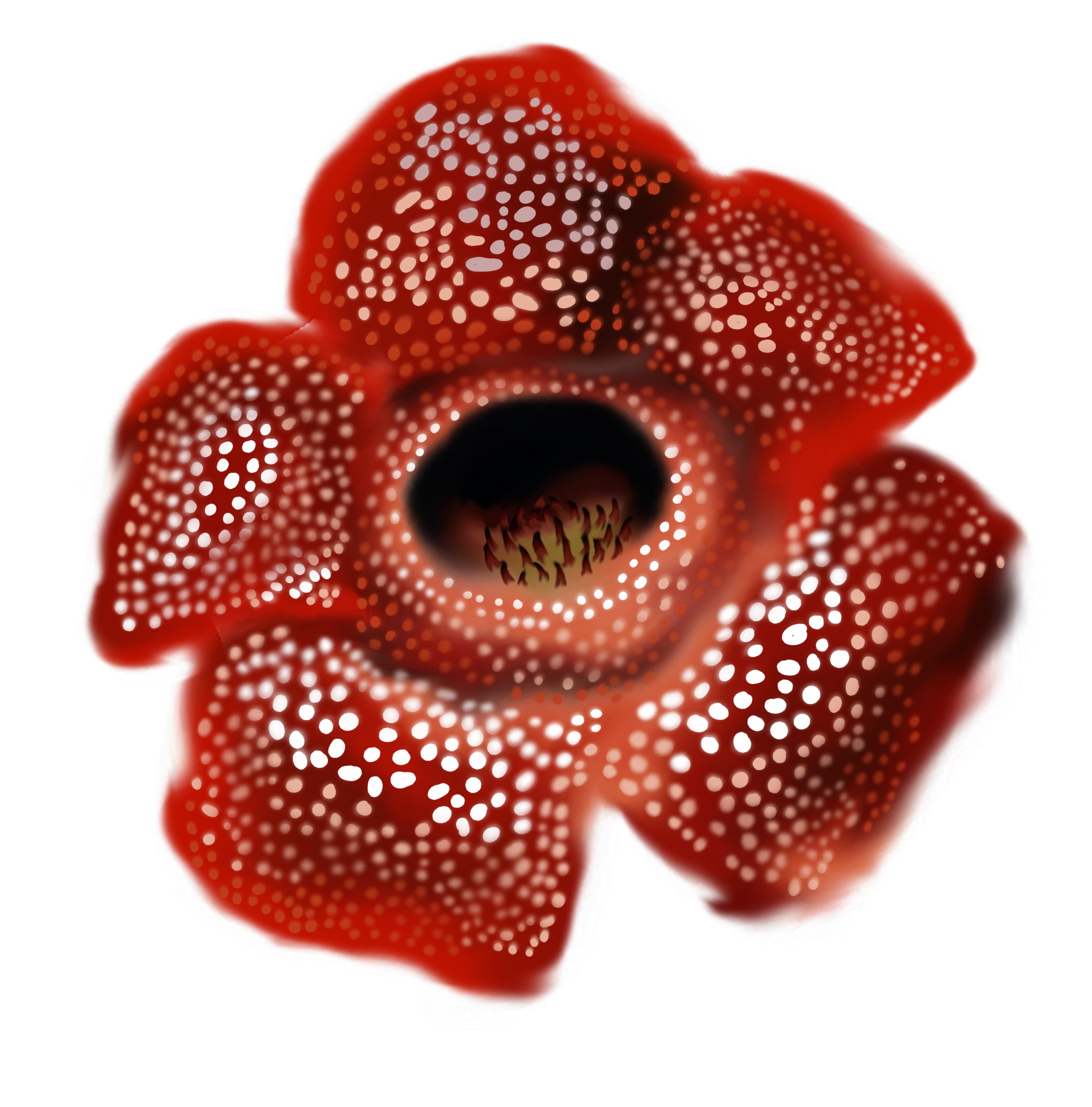 Mikaela Fishman- rafflesia_painting.png