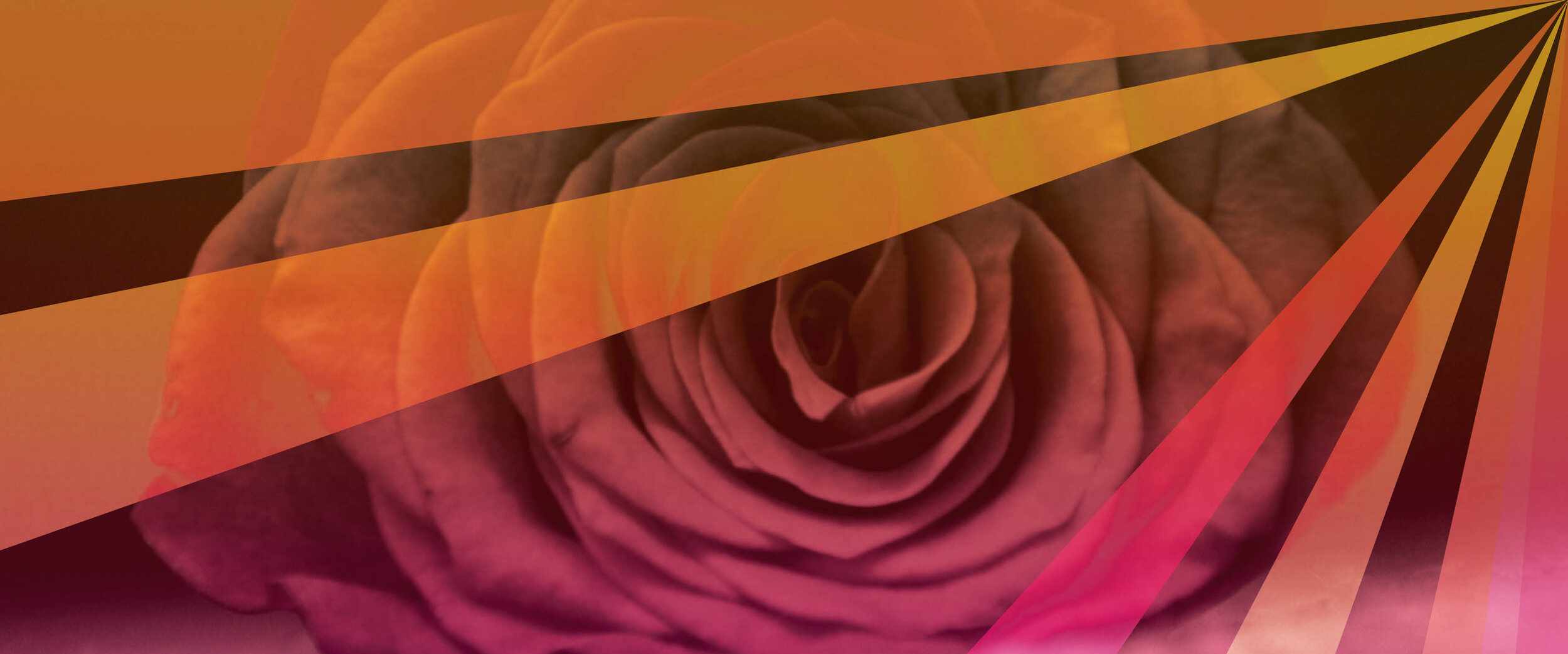 AFC15_sqsp banner_02 (1).jpg