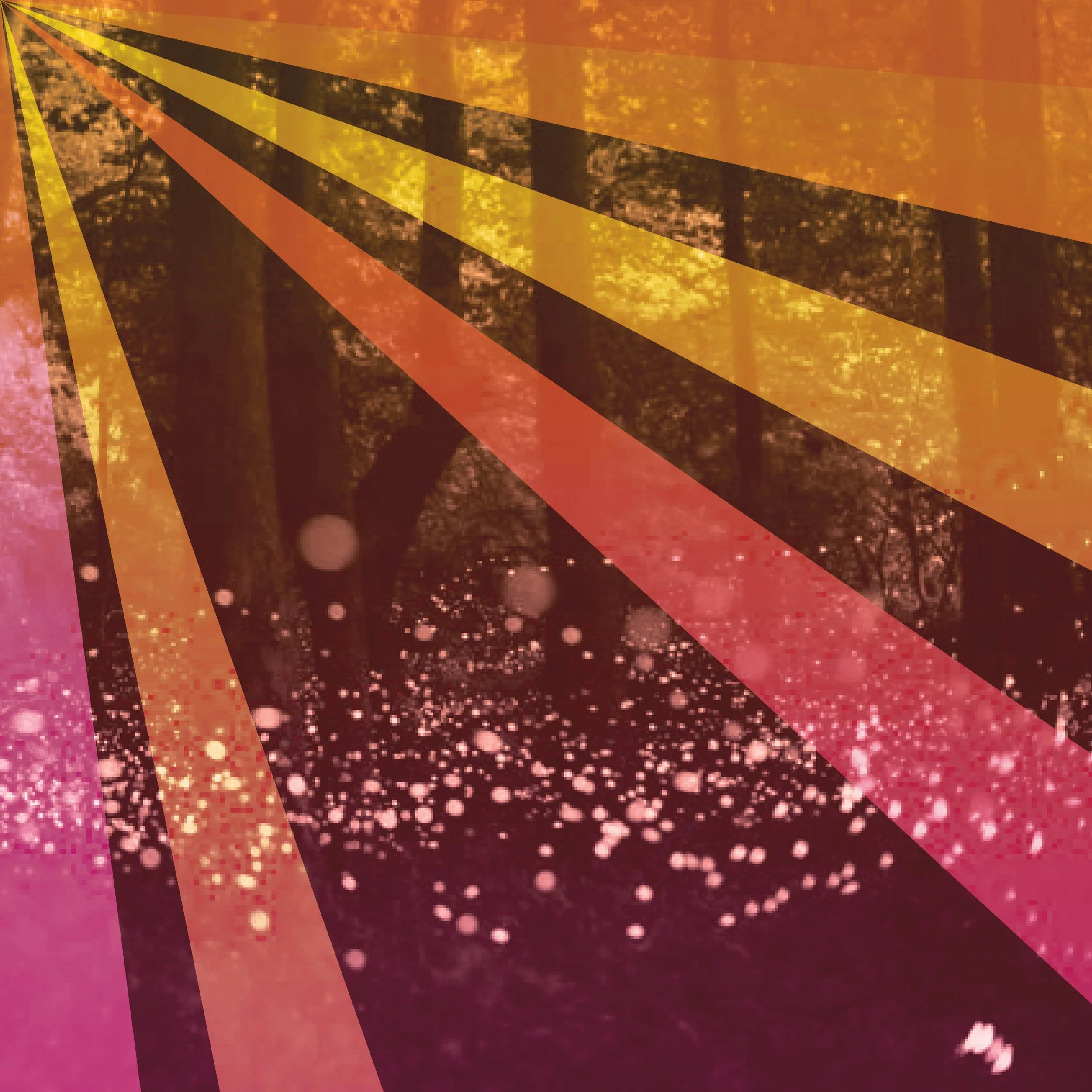 AFC15_Sqsp Splash_05.jpg