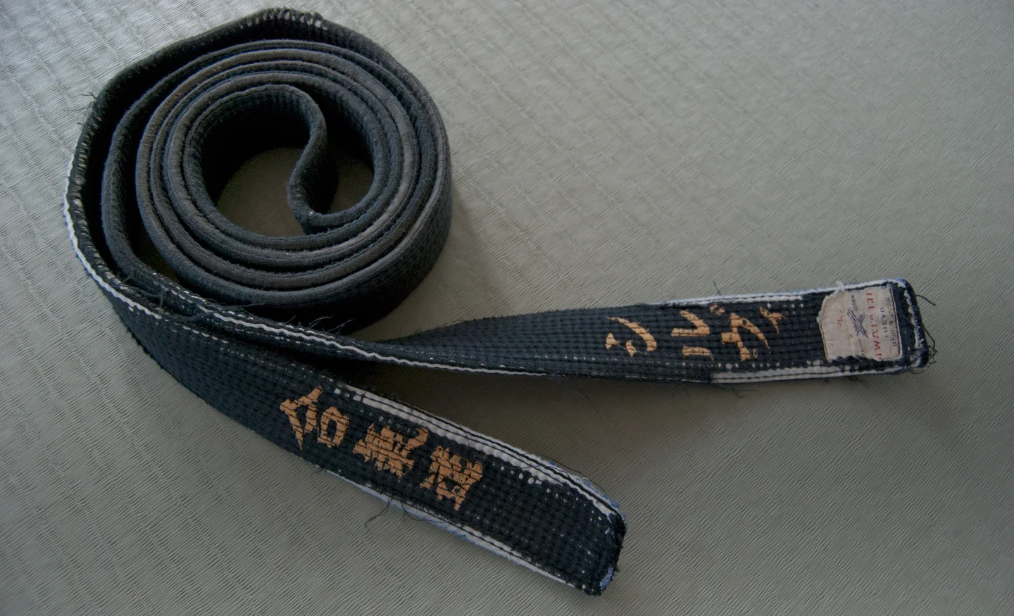 black-belt-Syl.jpg