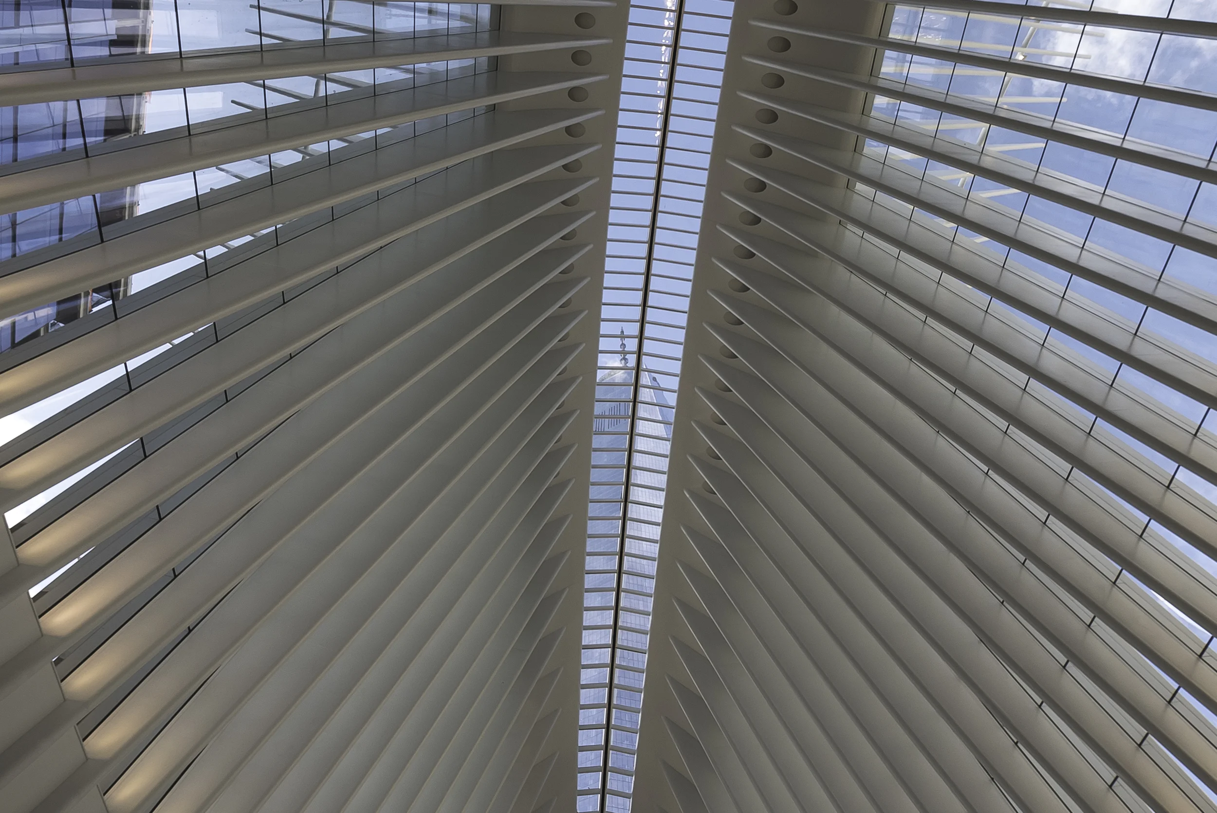 Oculus&One.jpg