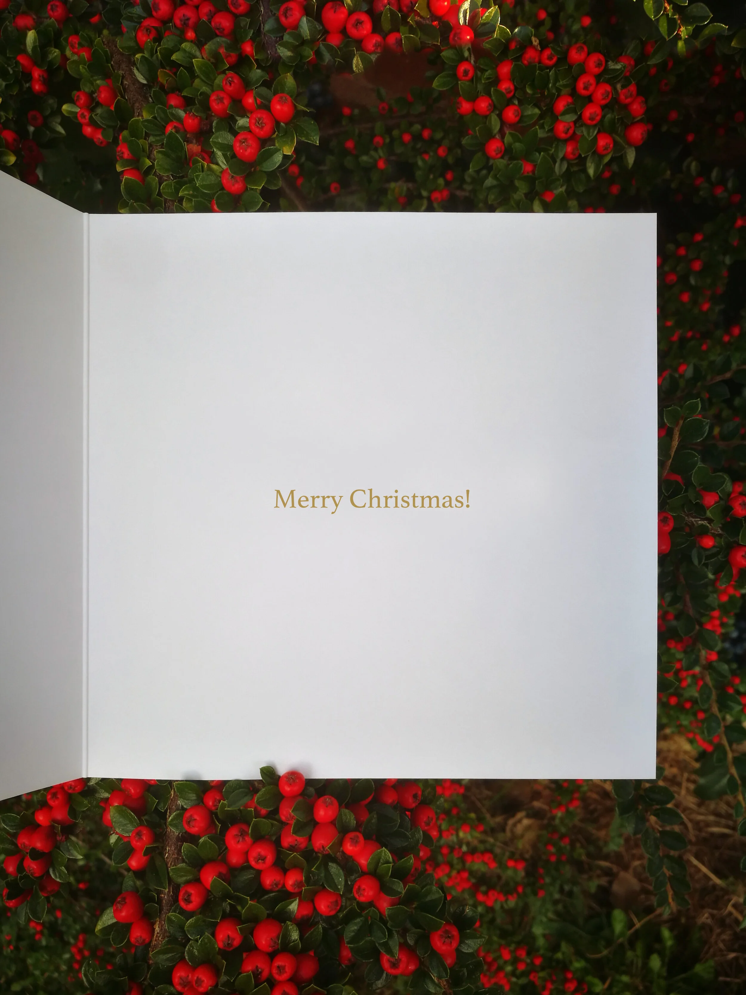 Merry Christmas inside message.jpg