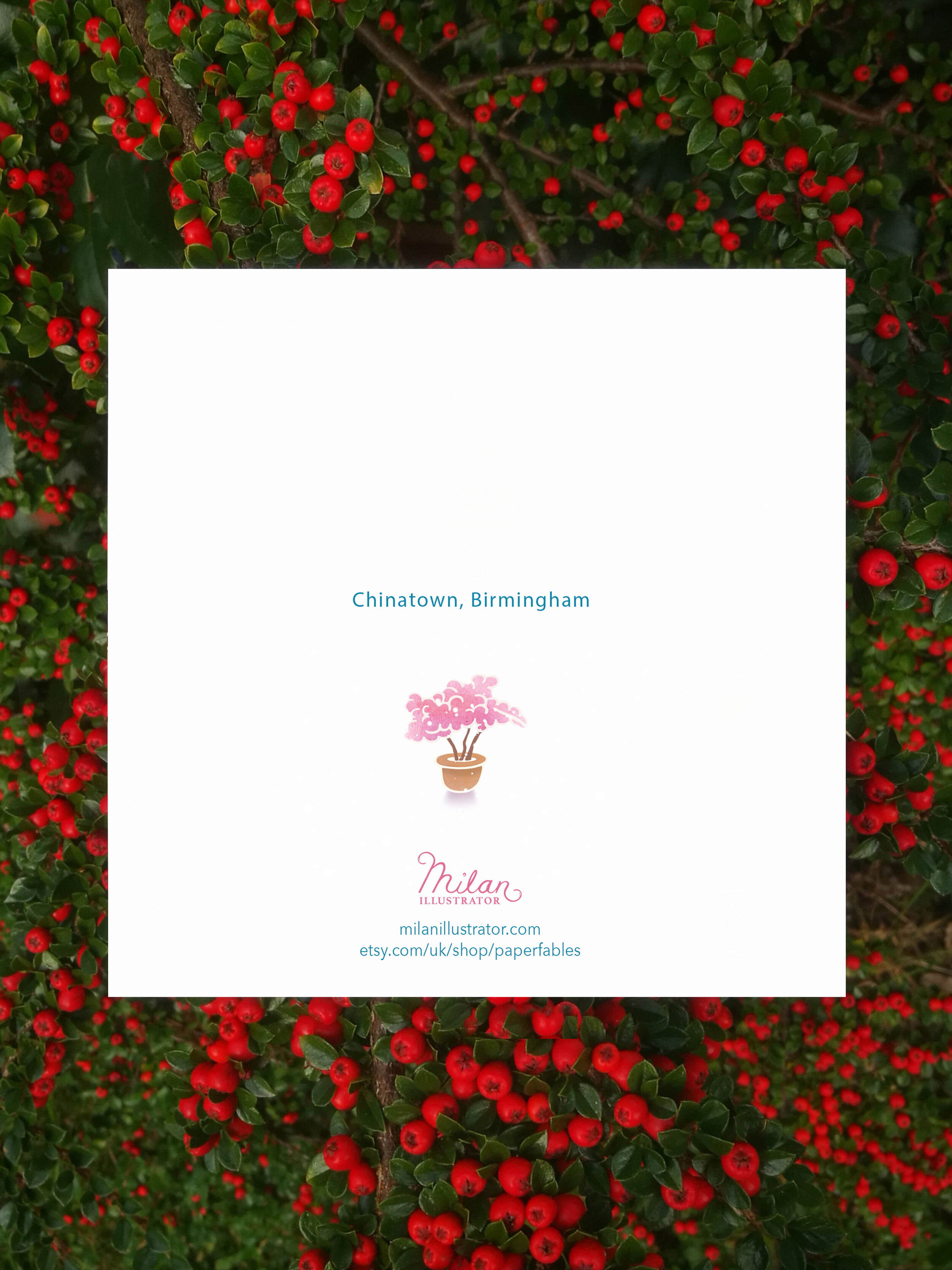 Xmas Chinatown rear mock up.jpg