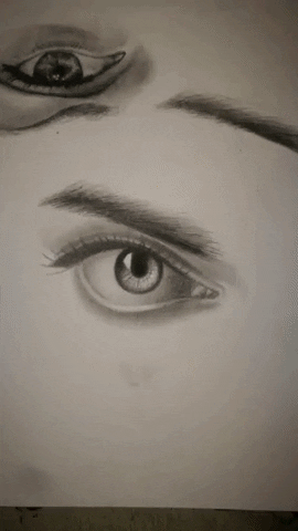 Animated GIF-downsized_large (2).gif