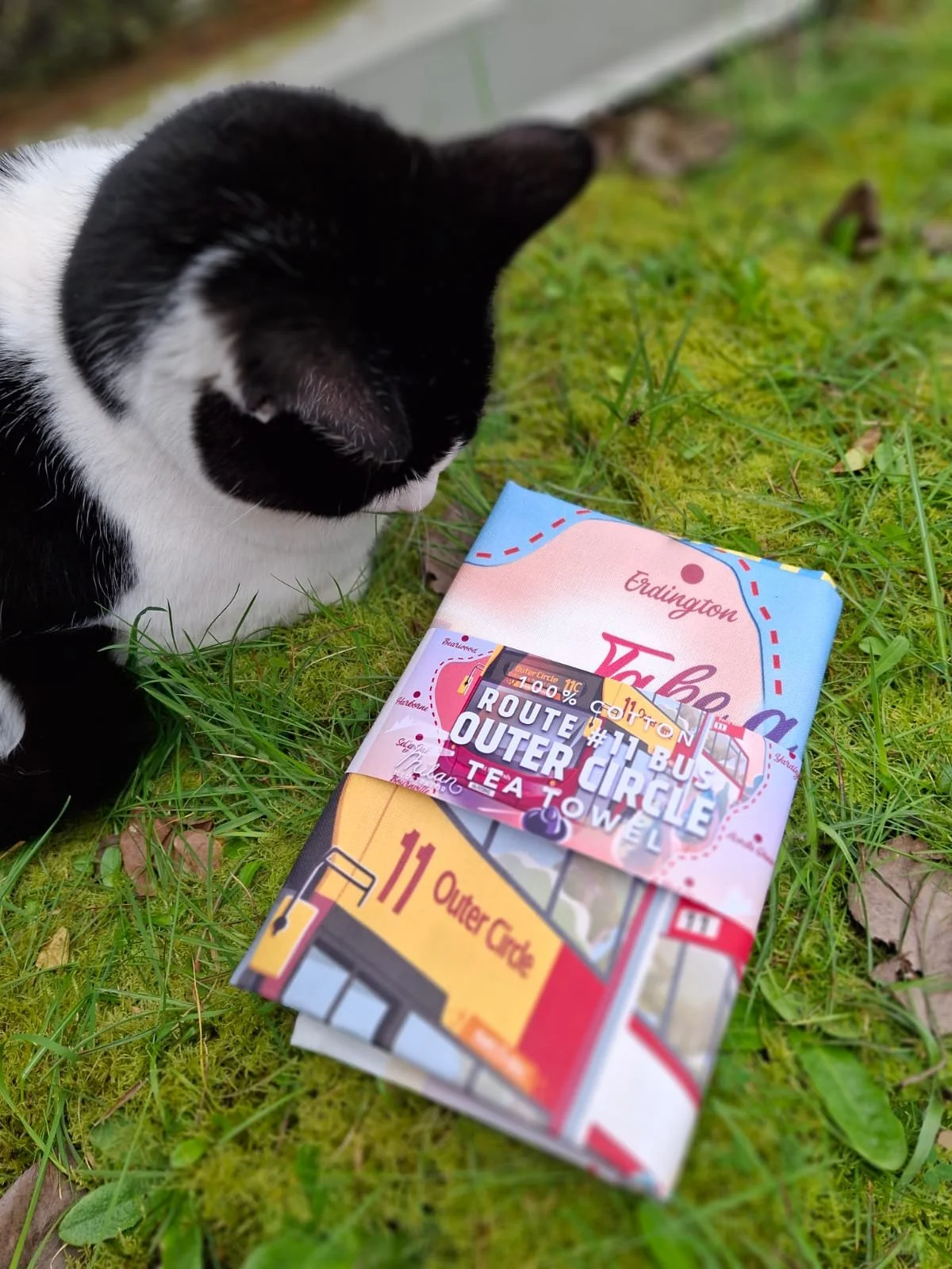 Outer Circle cat.jpeg