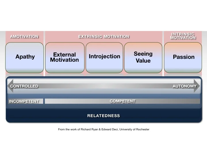 How Learners Are Motivated