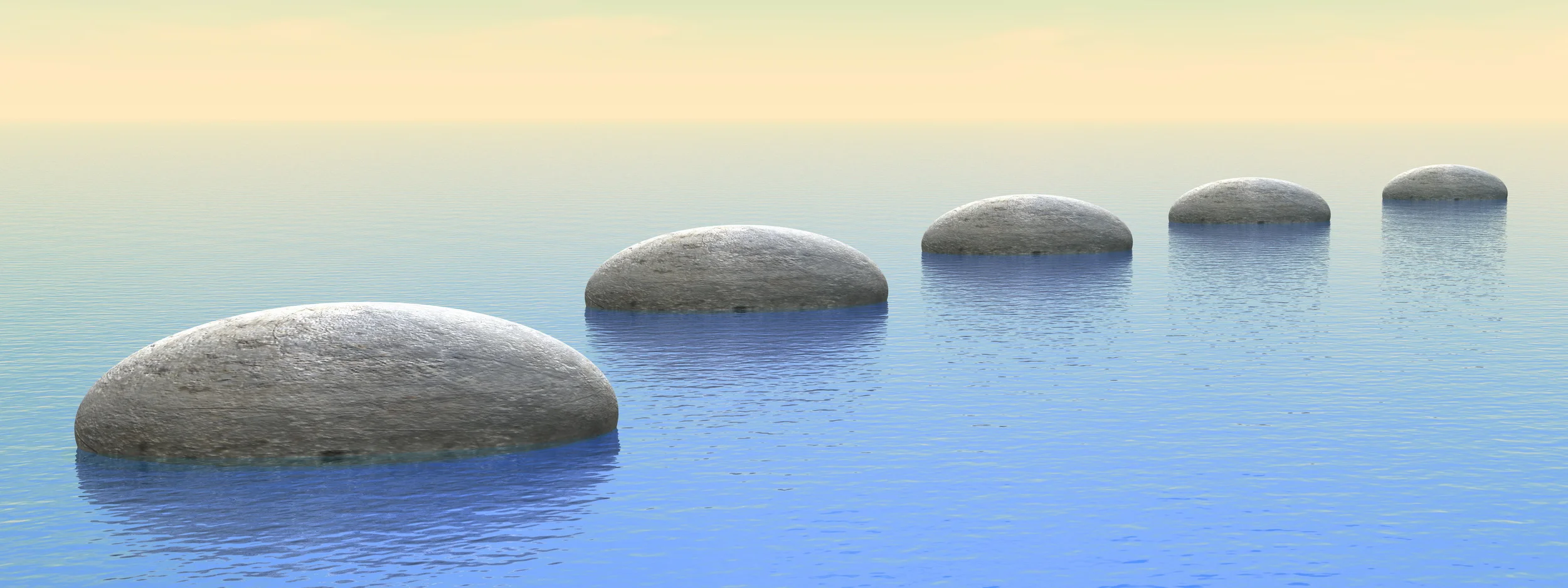 Steps in the RRID Procedure