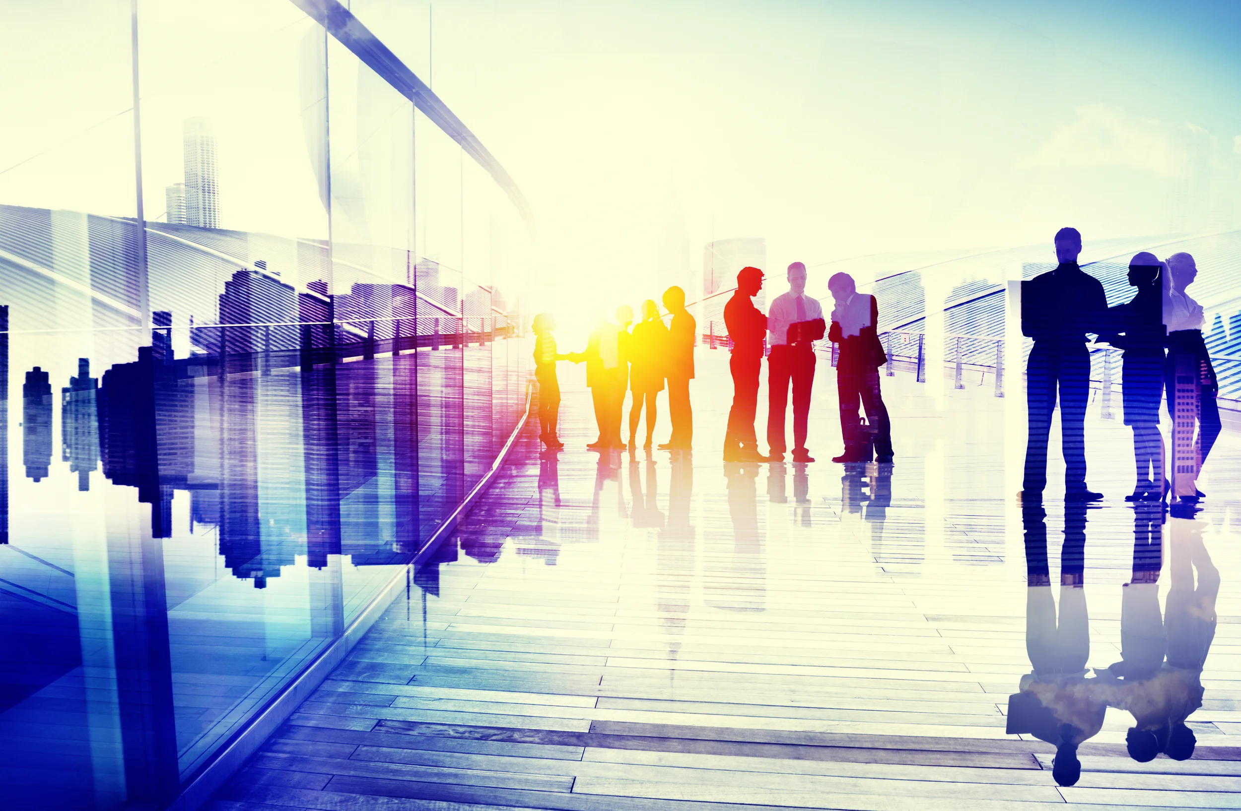 Introduction to Management