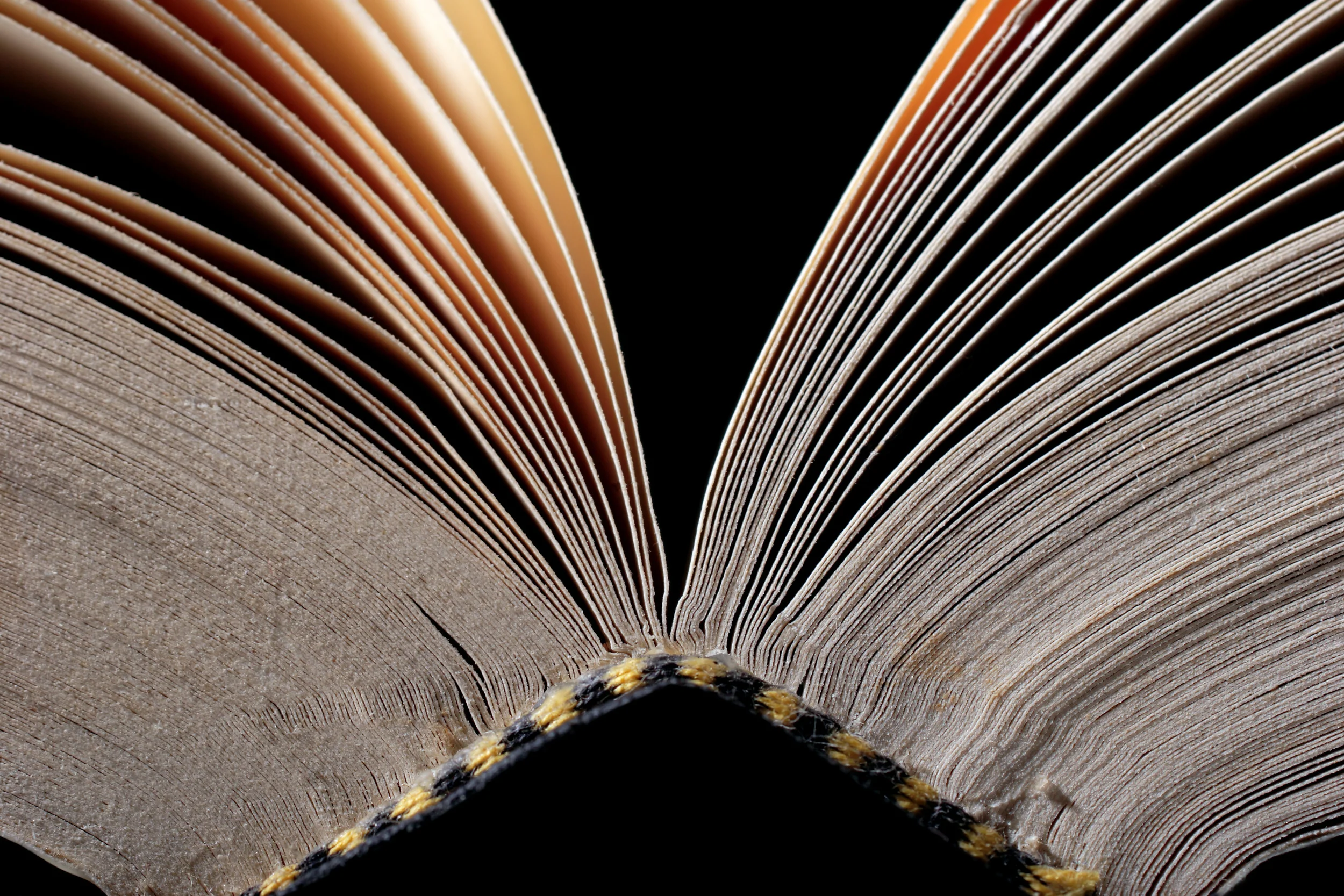 The Story Spine Game