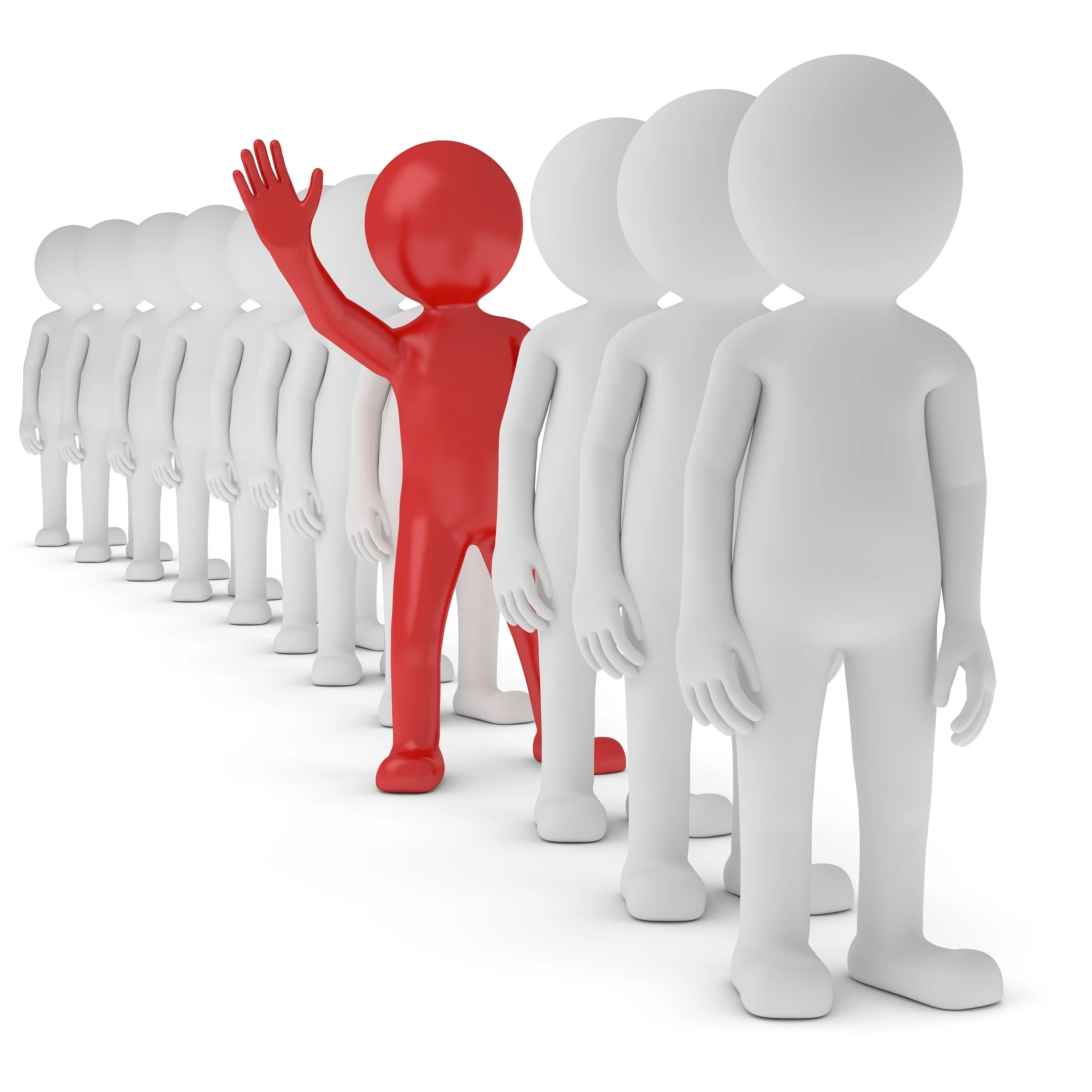 Optional Material (NPV and WACC)