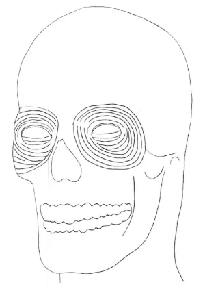 Dr Reser image showing eye muscles