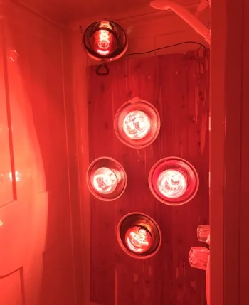 Near Infrared Light Emitting Diode (LED) Spa